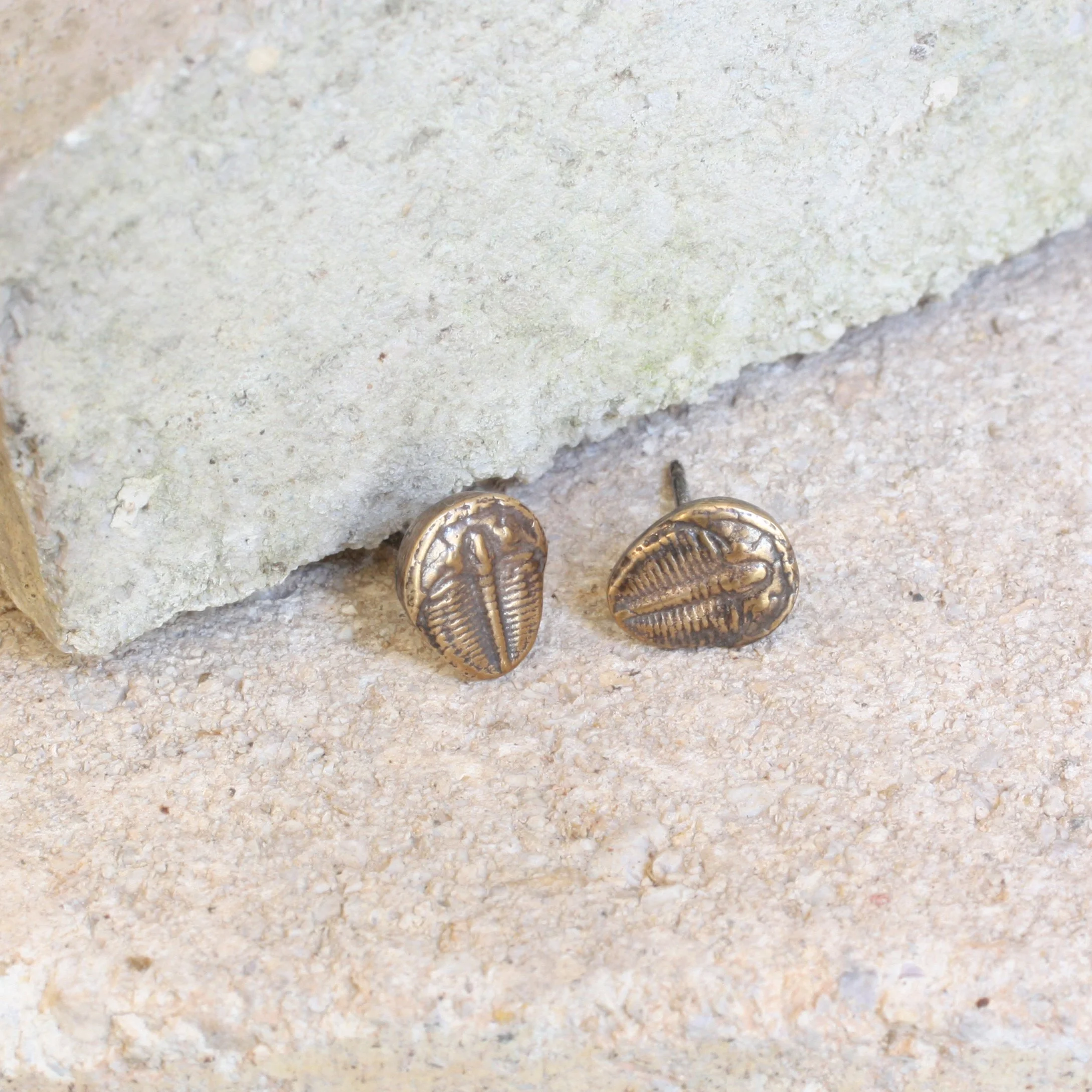 Ecdysis Earrings Brass 4.jpg