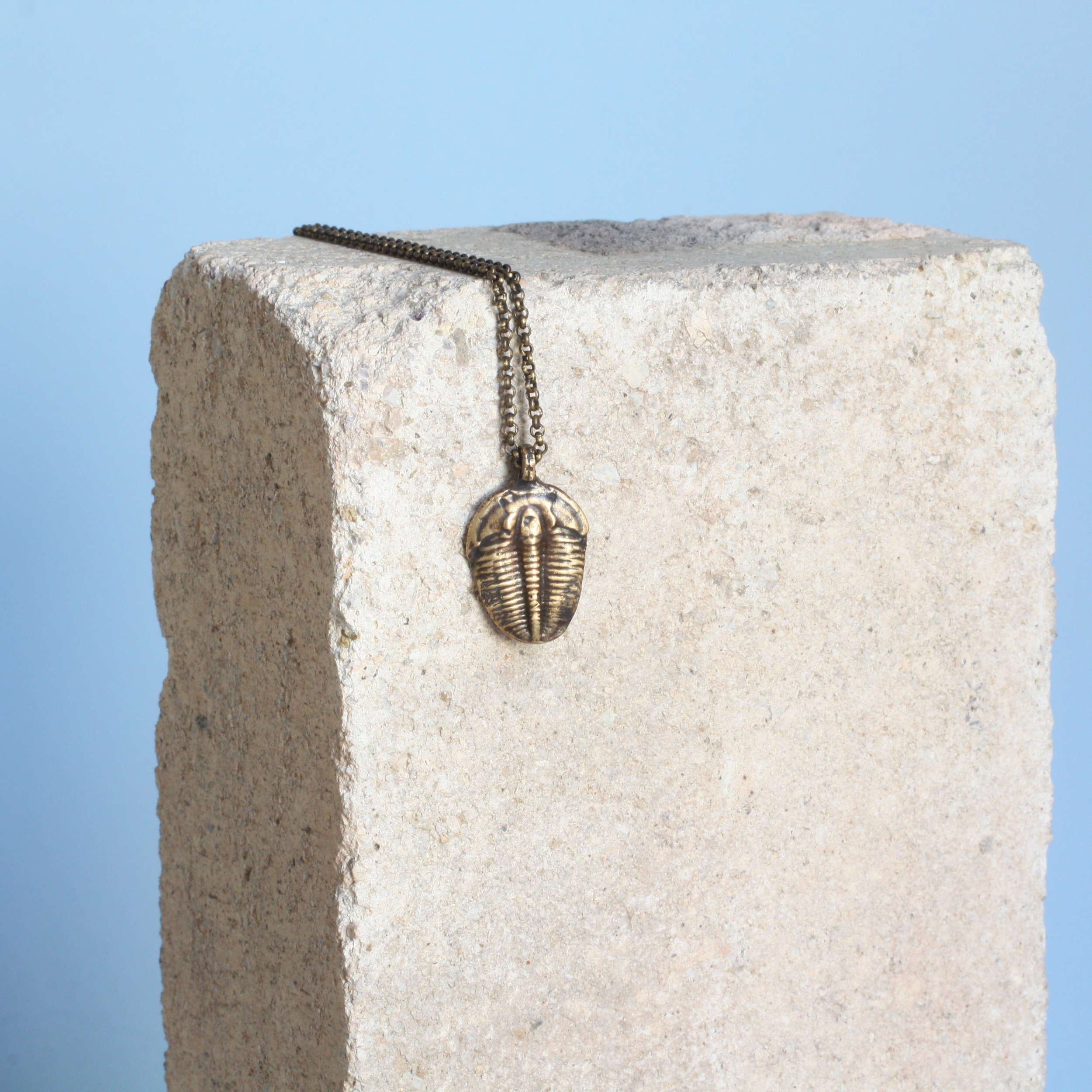 Moult Necklace Brass:Brass 2.jpg