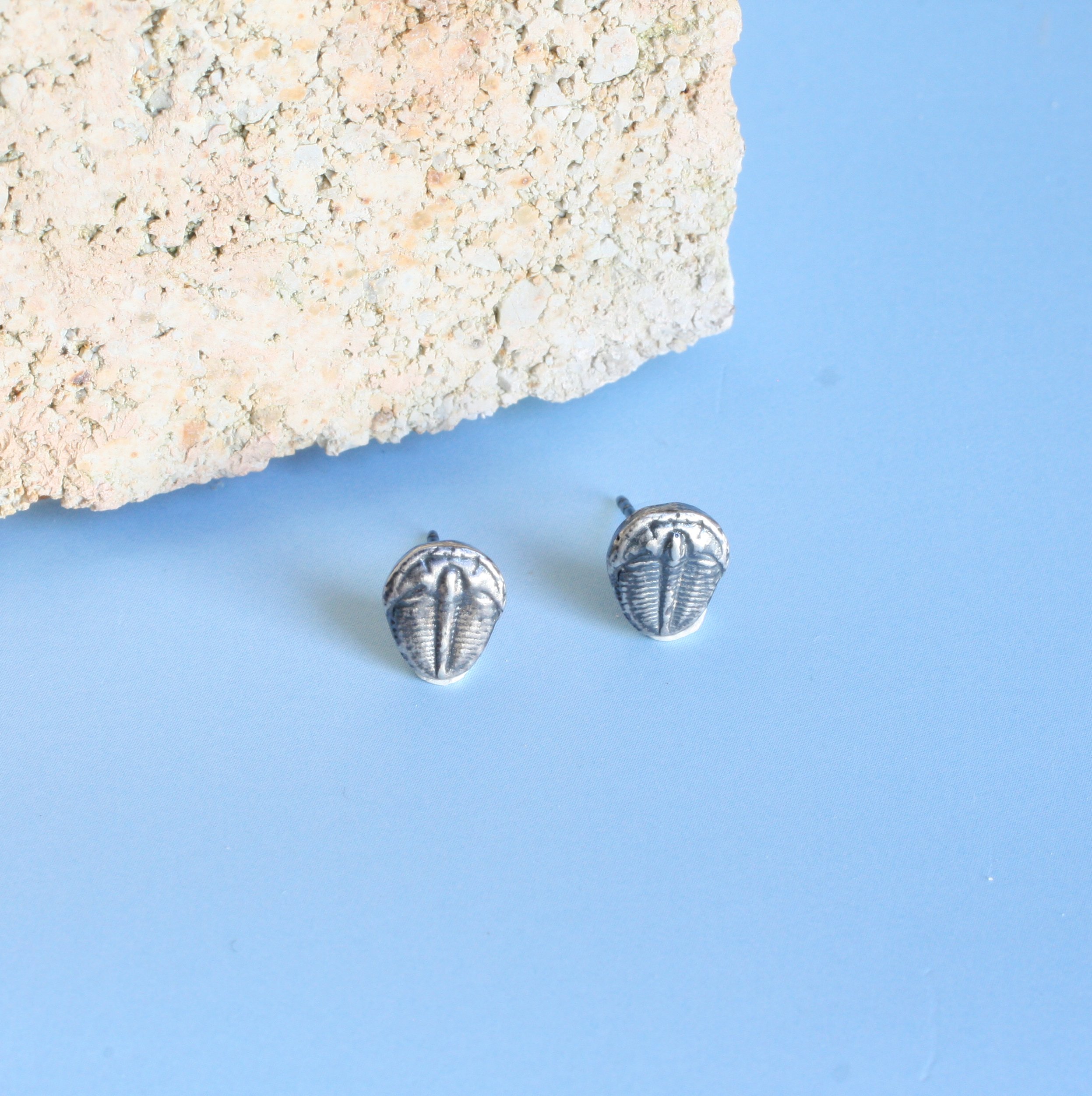 Ecdysis Earrings Silver 4.jpg