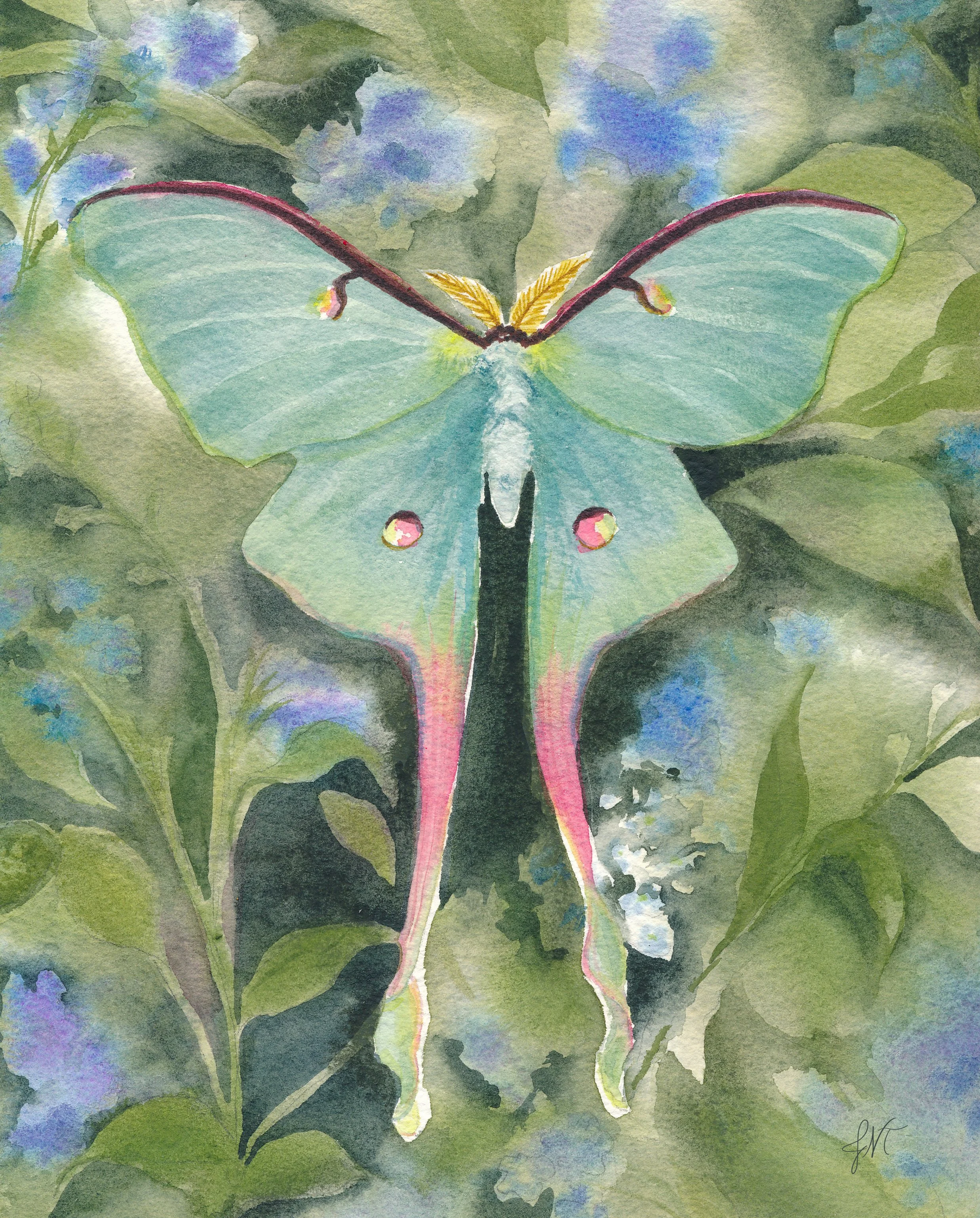 Luna Moth PRINT.jpg