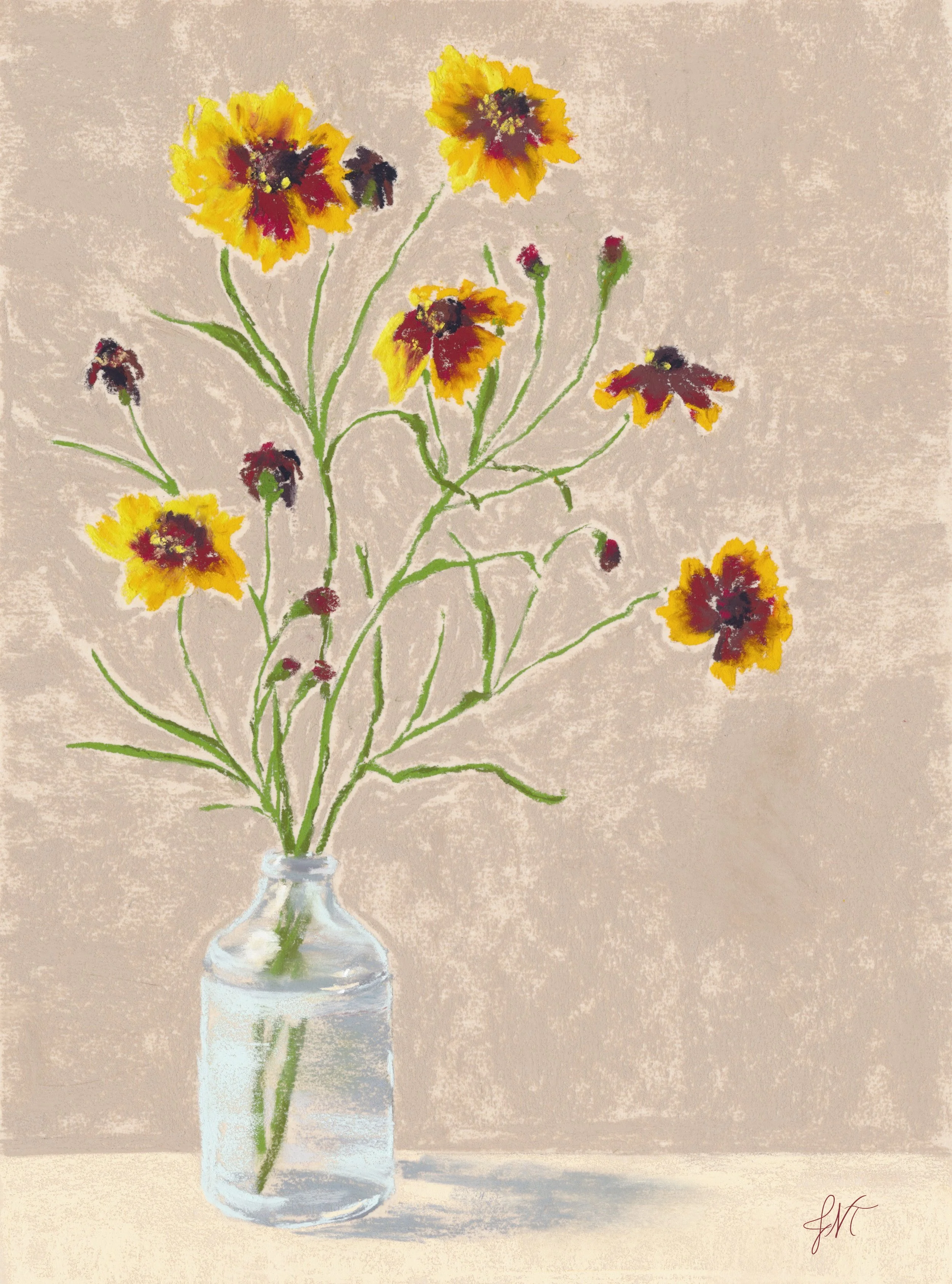 Coreopsis PRINT.jpg