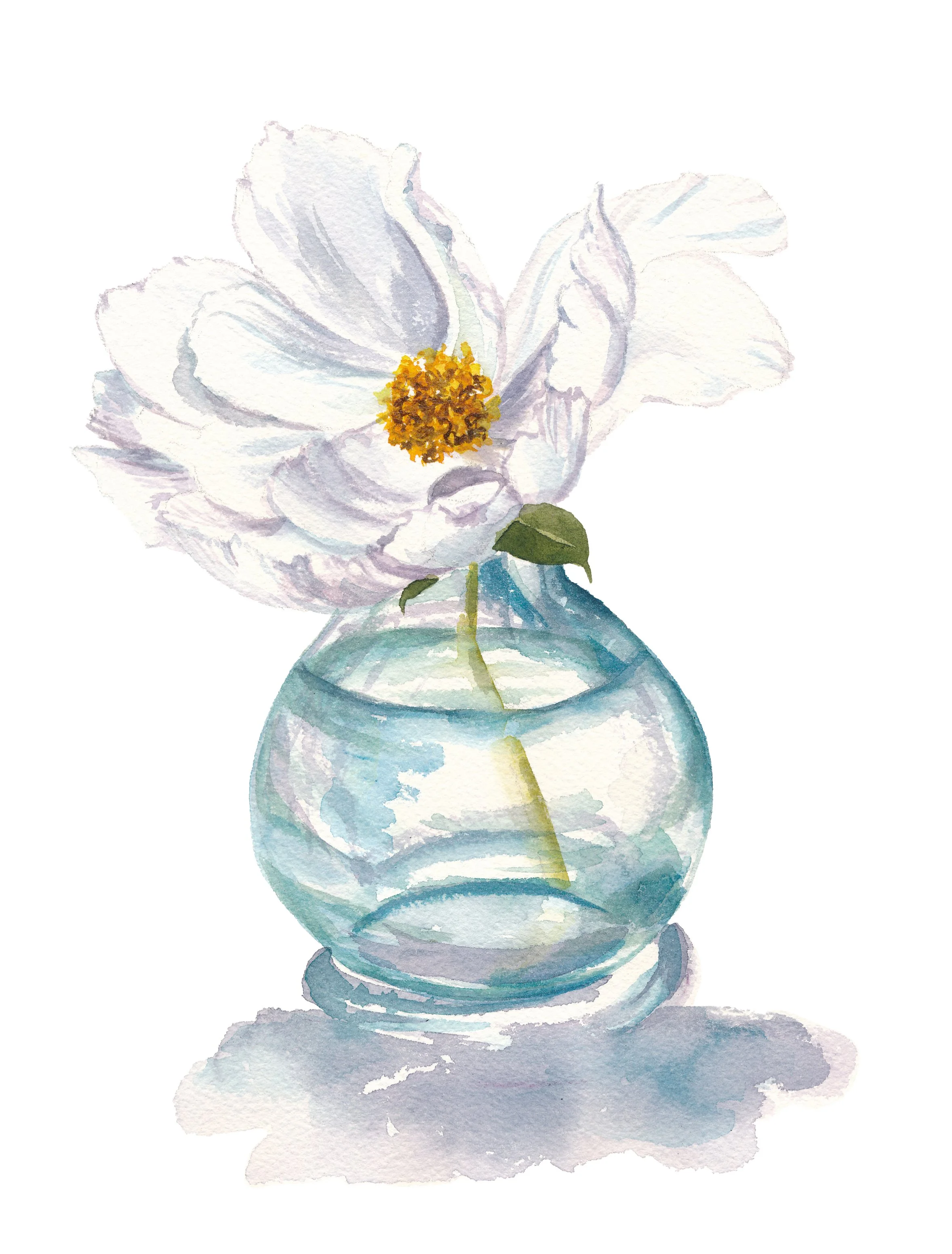 White Peony in Vase PRINT.jpg