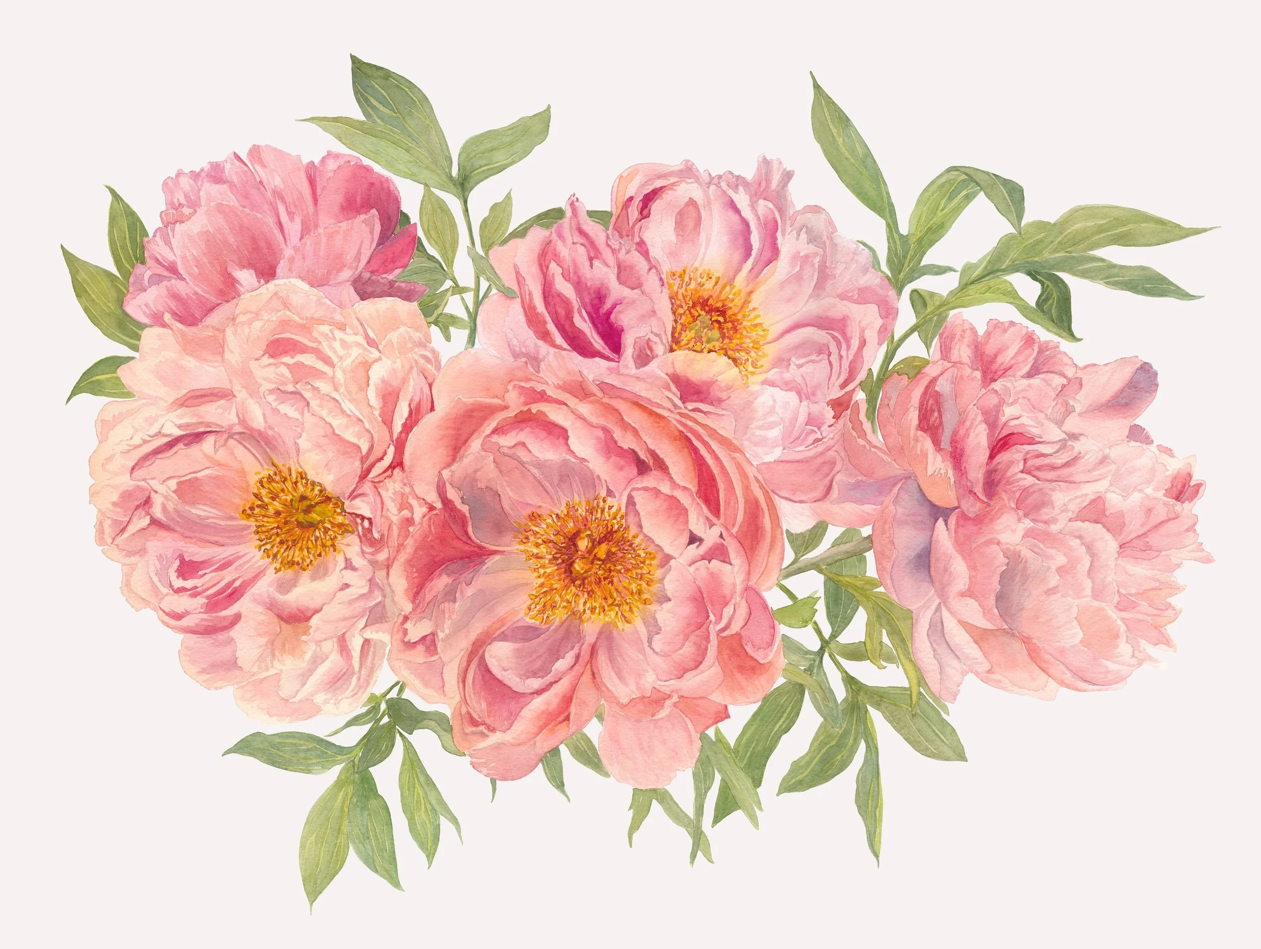 Pink_Peonies copy.jpeg