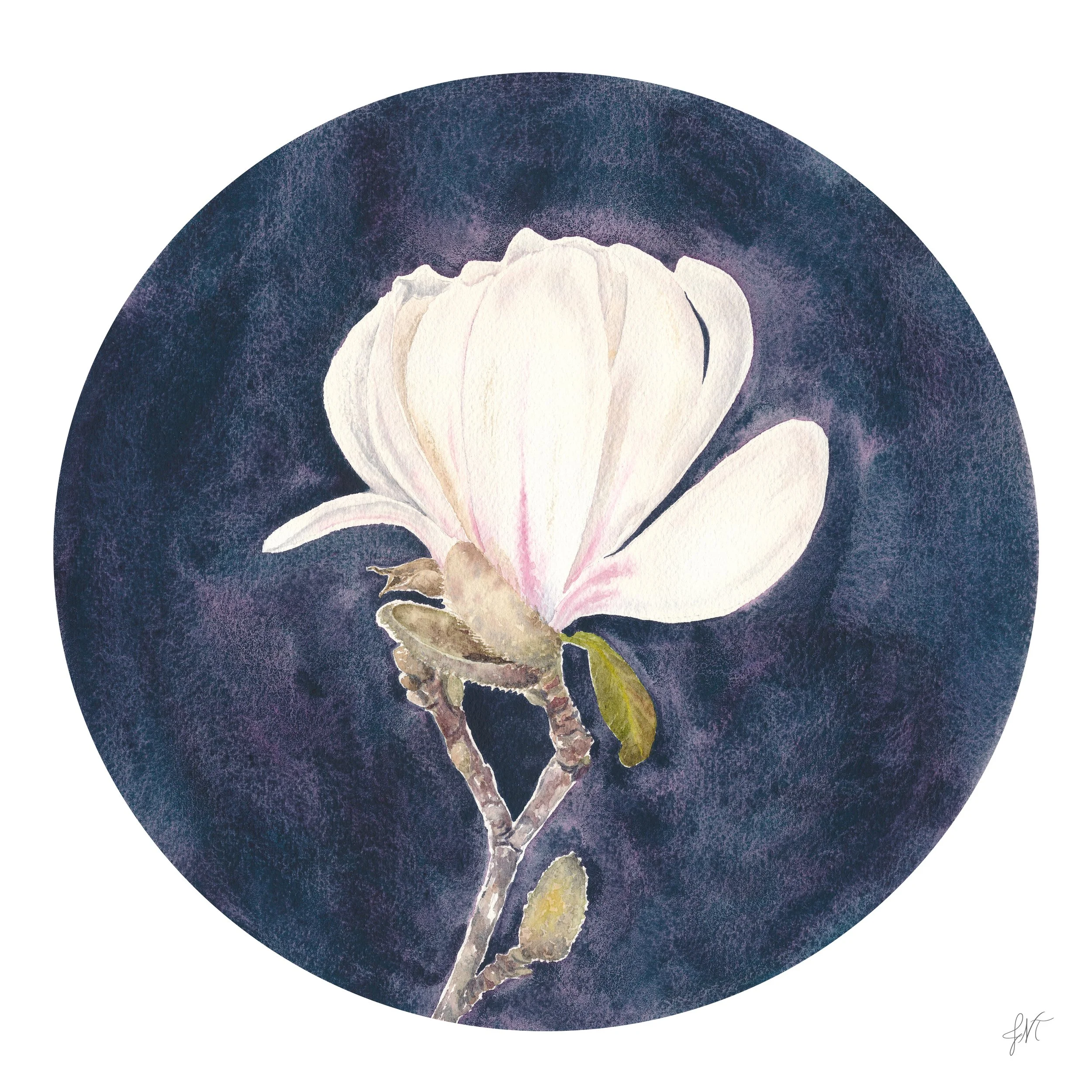 Star Mag PRINT w Sig.jpg