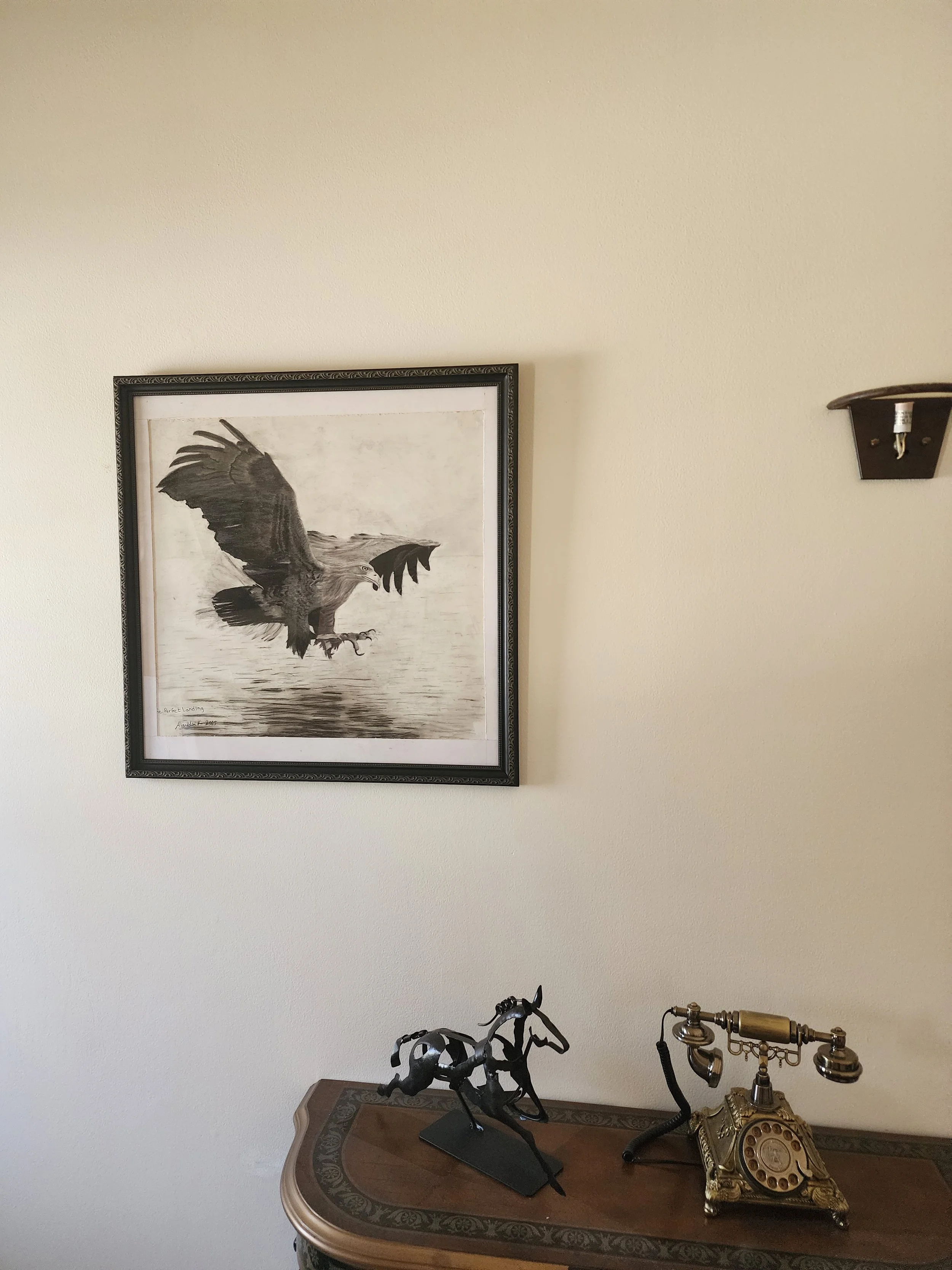 IMG_0392.jpeg