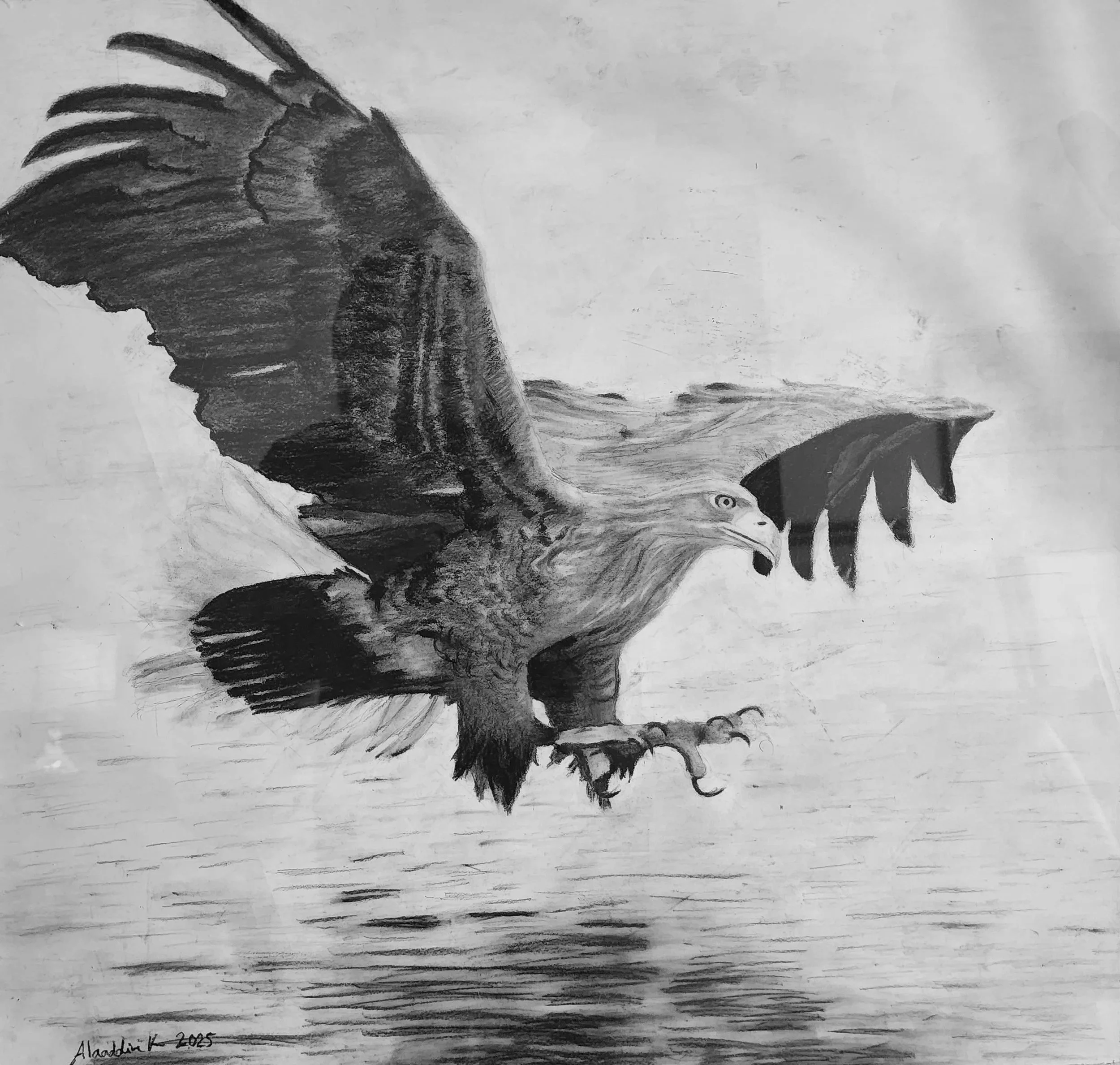 Black and white drawing of an eagle with its wings spread wide, flying above water.