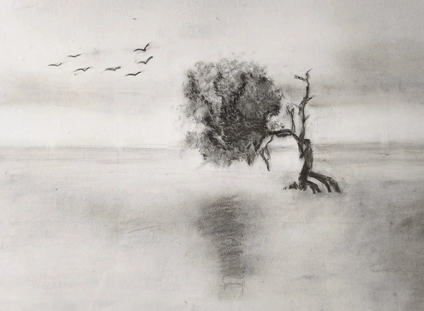 A black and white sketch of a solitary tree with a reflection in the water below, and a flock of birds flying in the sky.