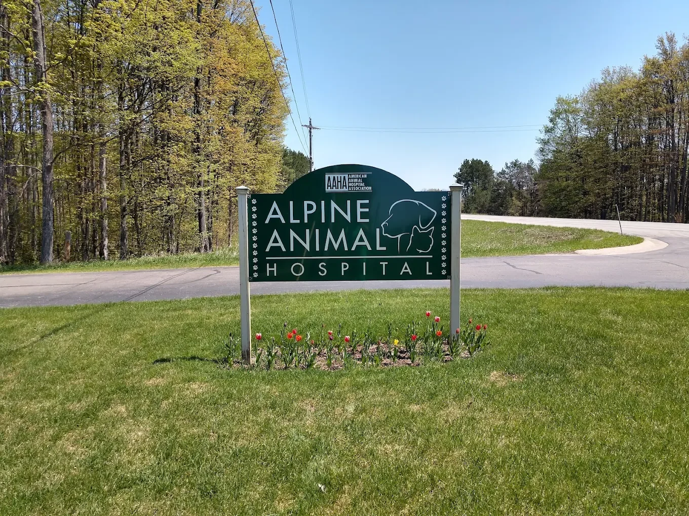Sign for Alpine Animal Hospital with trees in the background and a grassy area with flowers in the foreground.