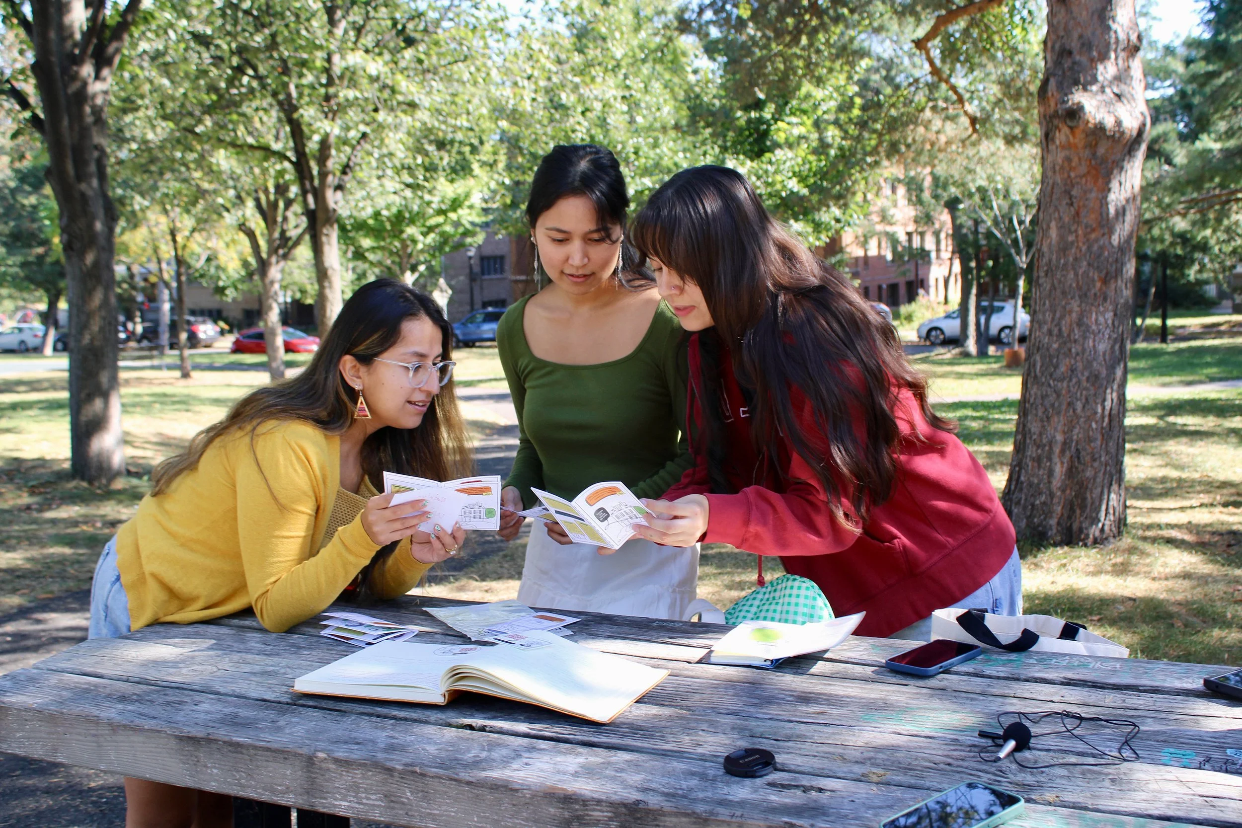 Three women gathered around a picnic table outdoors in a park, looking at papers and booklets. The scene is sunny with green trees in the background.