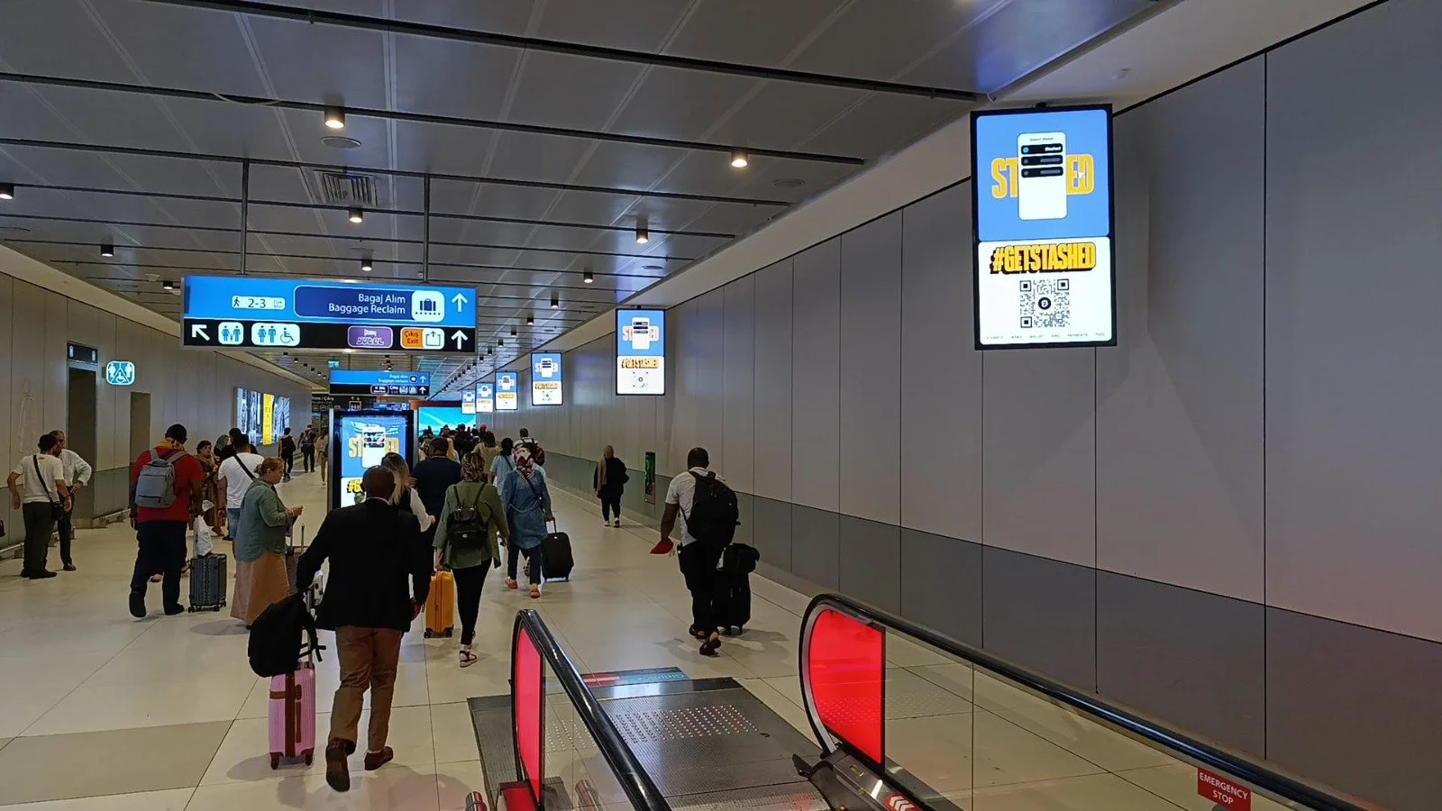 PHOTO-2024-08-12-11-27-56 2.jpg