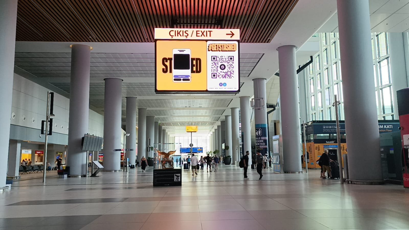 PHOTO-2024-08-12-16-57-35 3.jpg