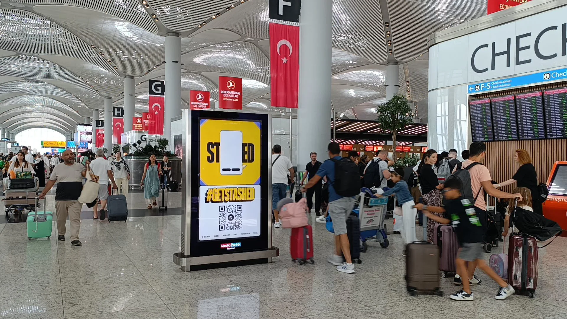 PHOTO-2024-08-12-12-09-44 2.jpg