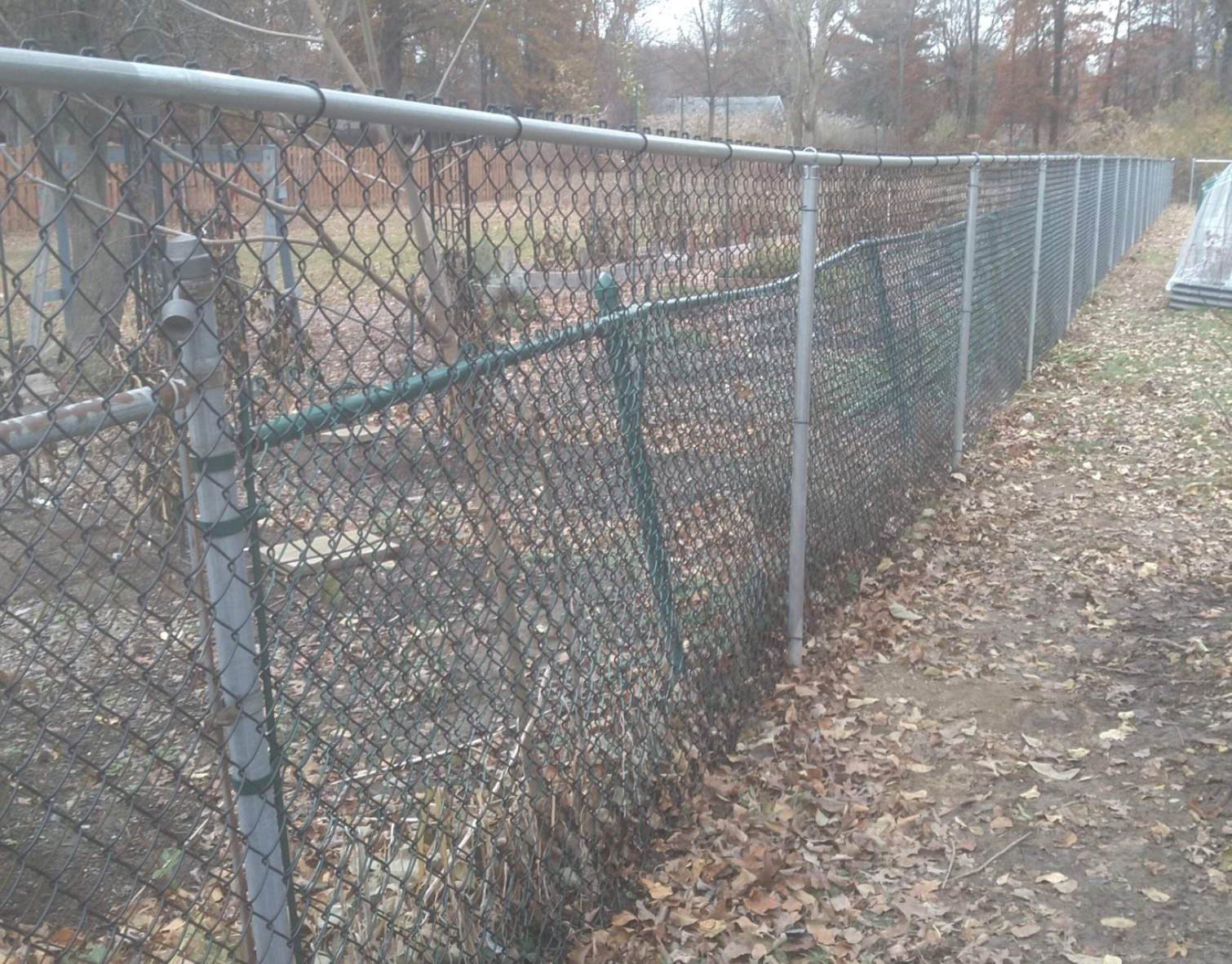 Chain Link fence installed by All Outdoor Fence & More in Berea, OH