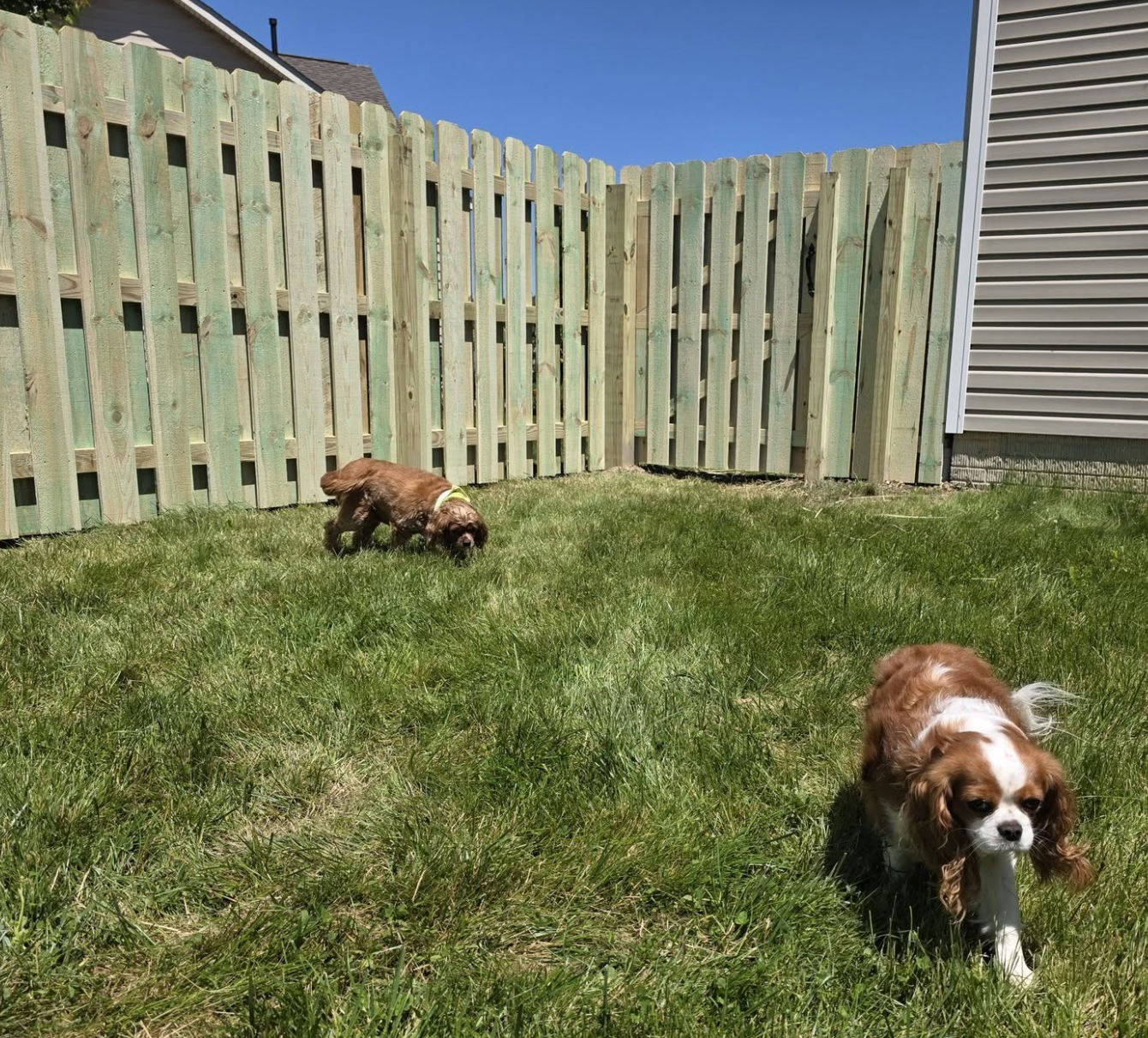 New wood fence instal in Berea