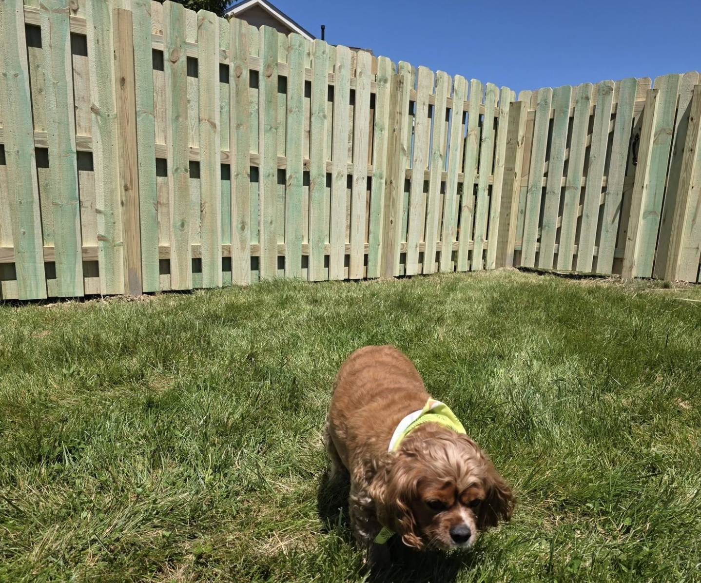 New wood fence in Berea