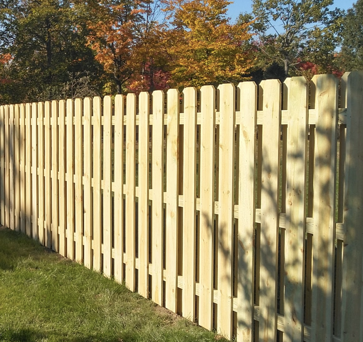 Wooden fence with sun shining