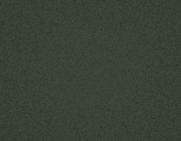 Textured Evergreen