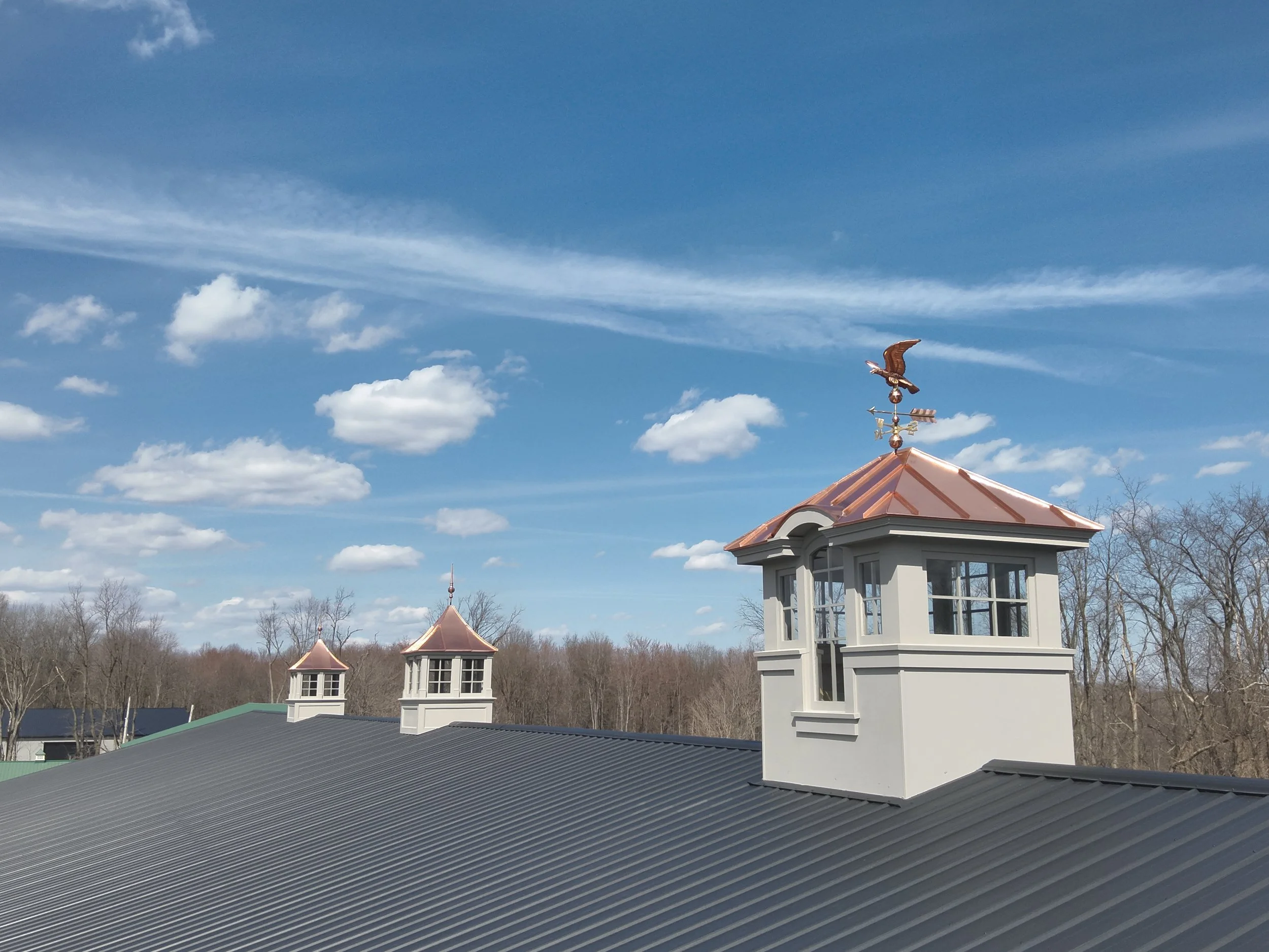 Roof with three small cupolas, the largest with a weather vane on top, against a blue sky with scattered clouds and bare trees in the background.