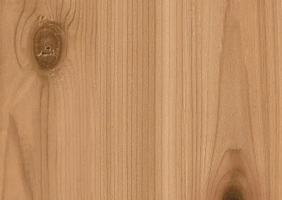 Smooth Cedar