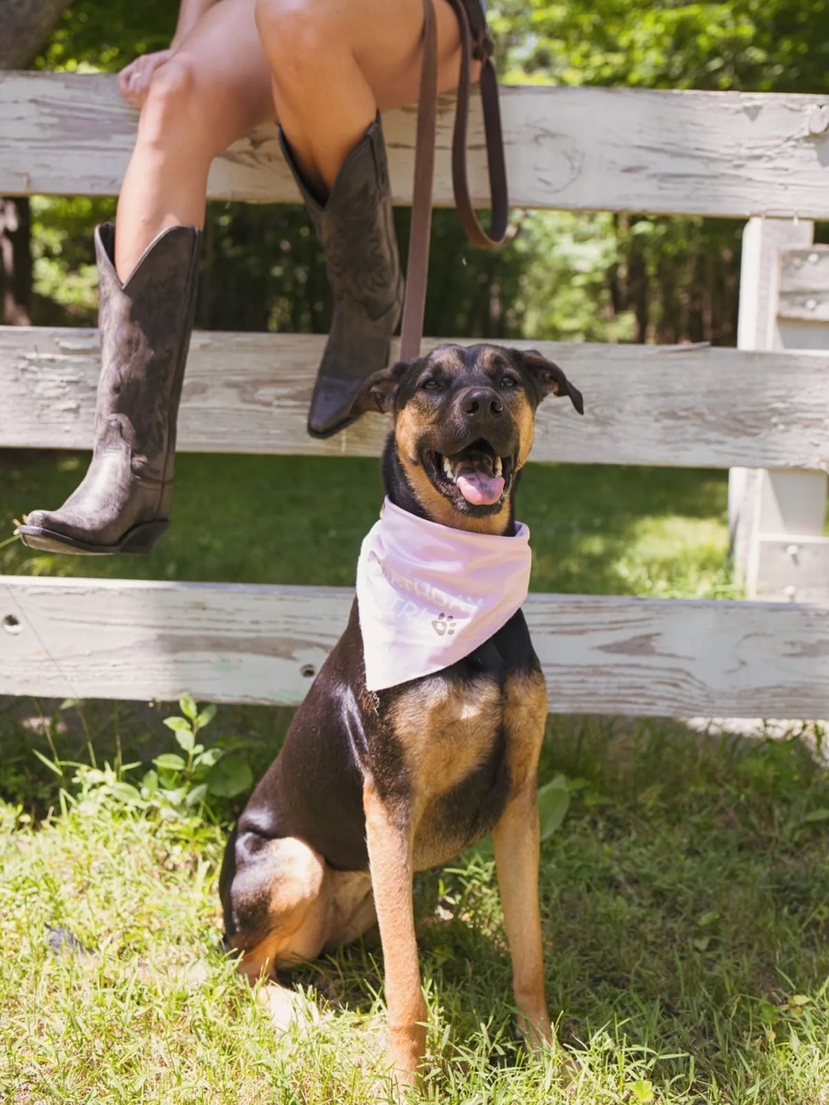 Paws for a moment 🐾