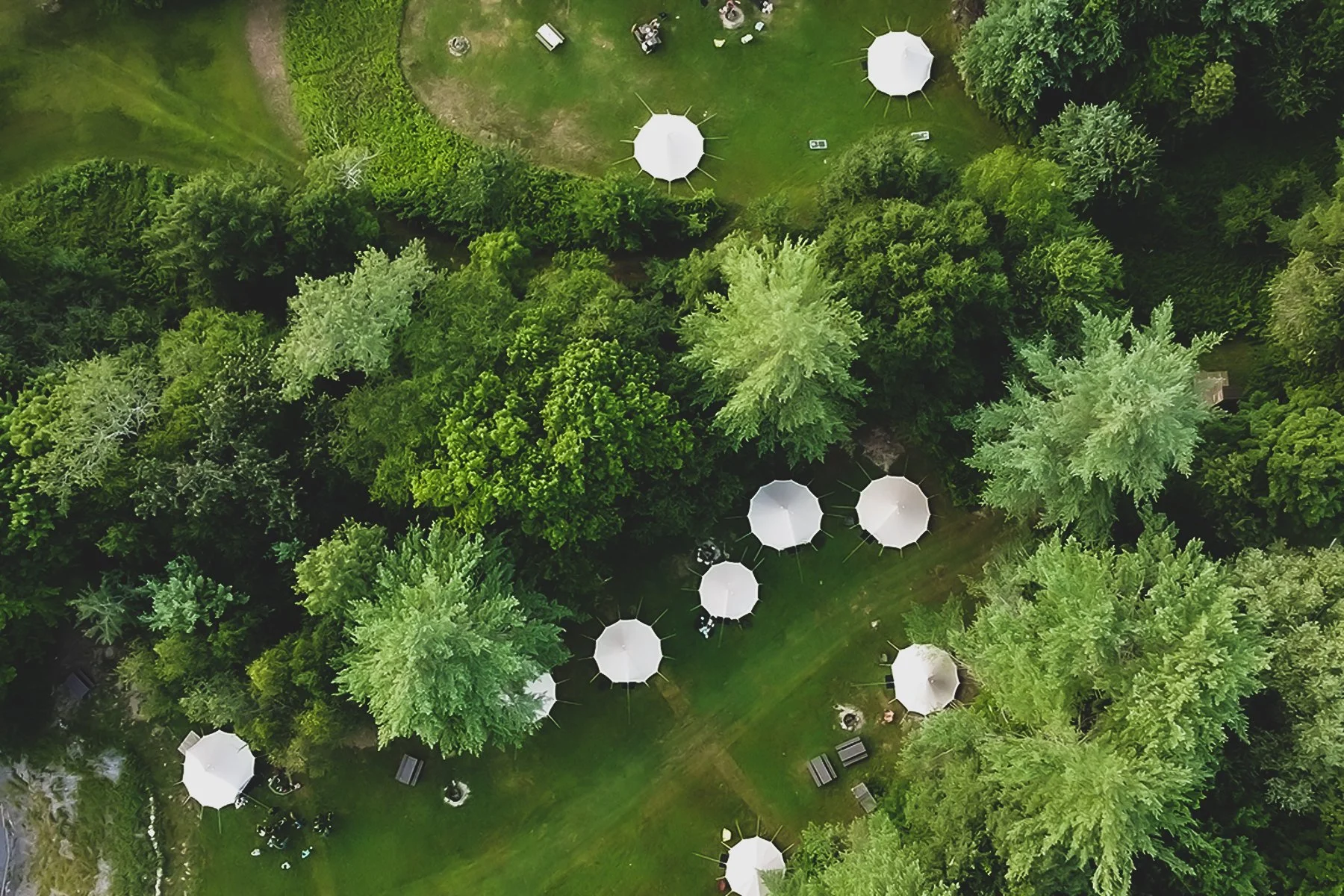 An aerial view of a lush green park with tall trees, grassy areas, and multiple white umbrellas set up for outdoor seating or events.