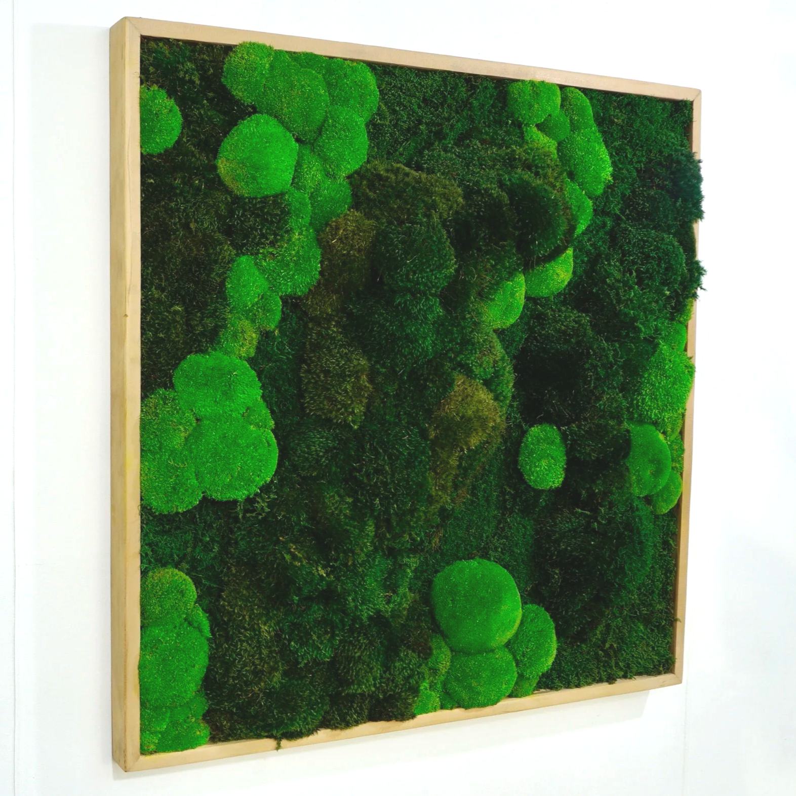 framed preserved moss wall art mounted on a white wall