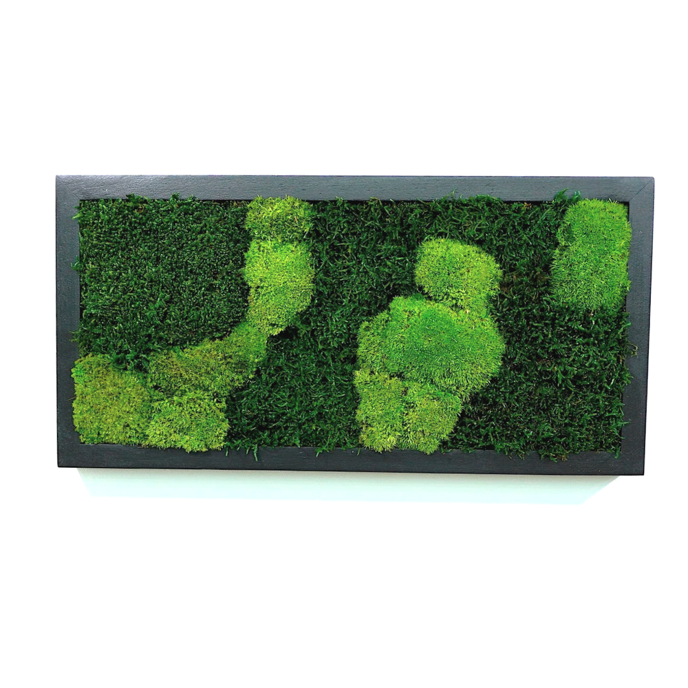 Preserved Moss Wall Panel - Black Frame 11 x 22 — MossBoss NYC