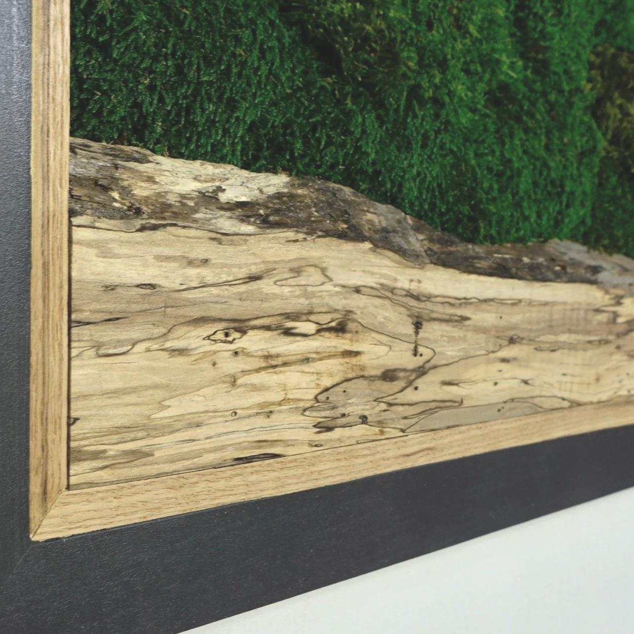 Framed preserved moss wall art mounted on a white wall