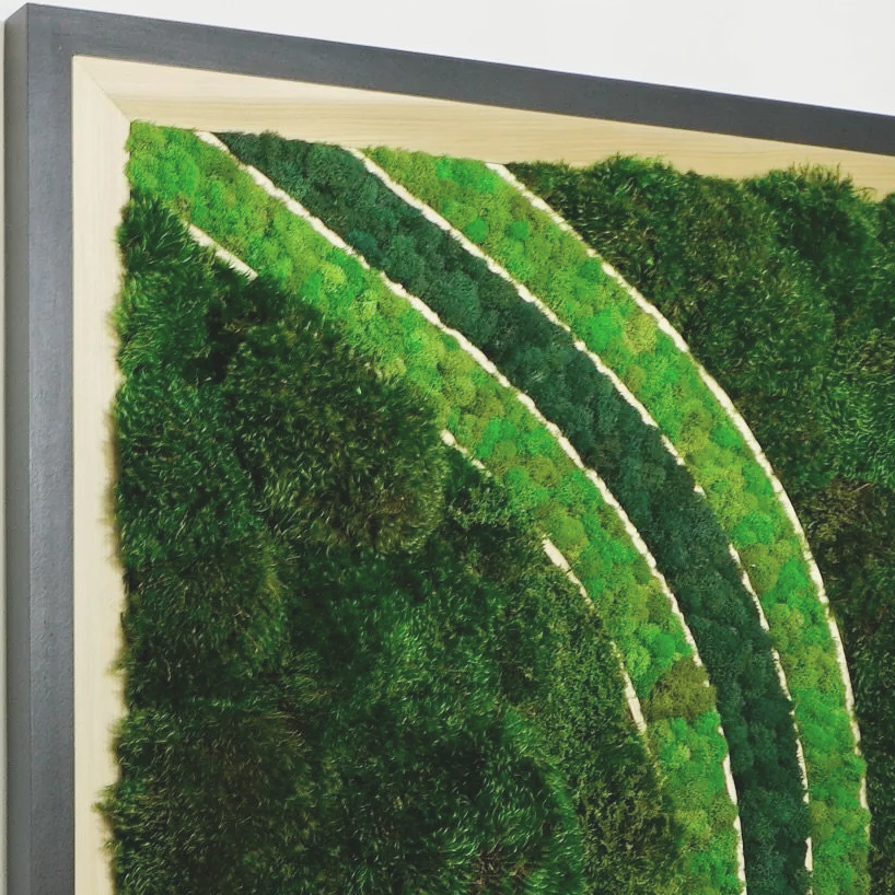 black frame moss art w/ poplar inlay, three stripes filled with deerfoot moss in a curve.
