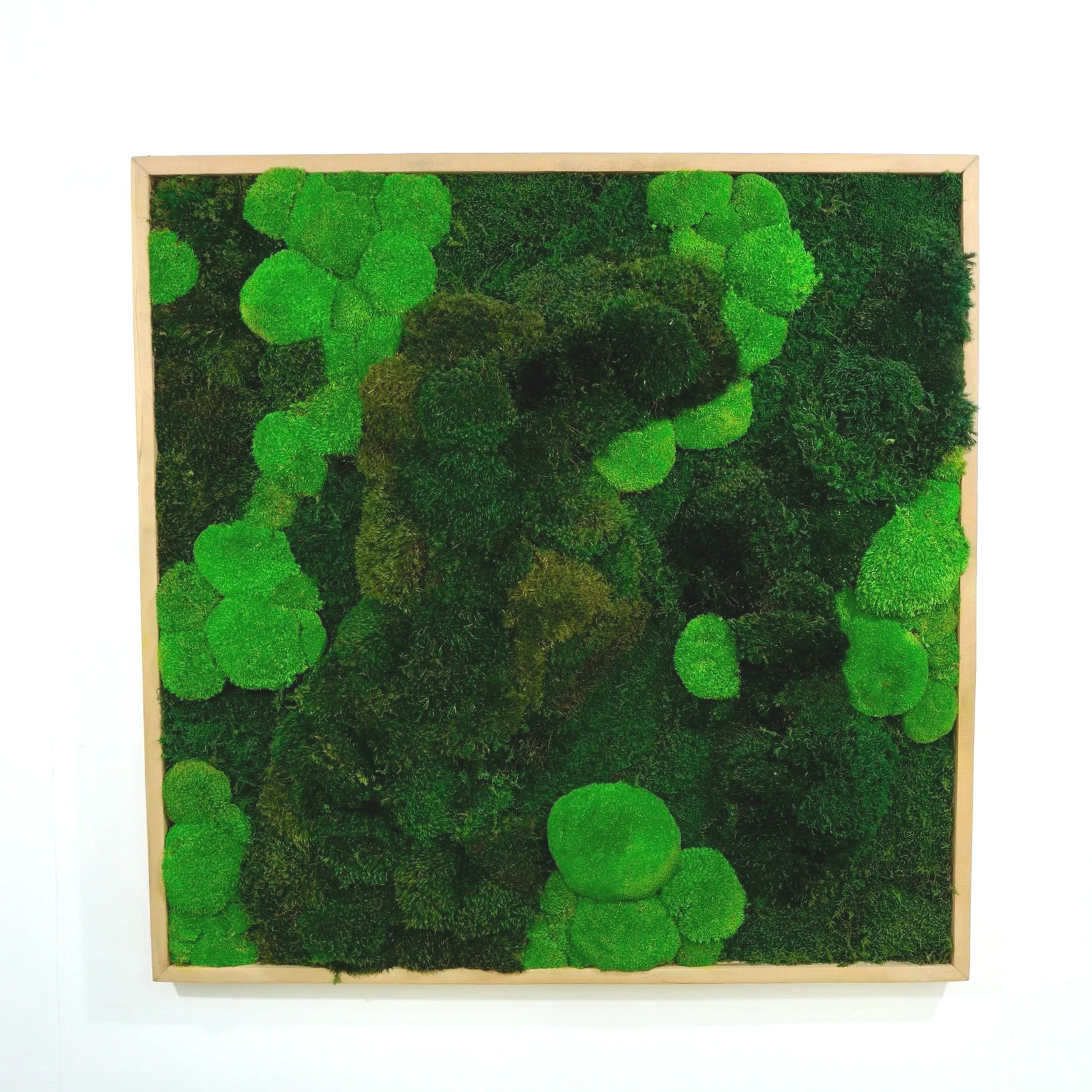 Framed preserved moss wall art mounted on a white wall