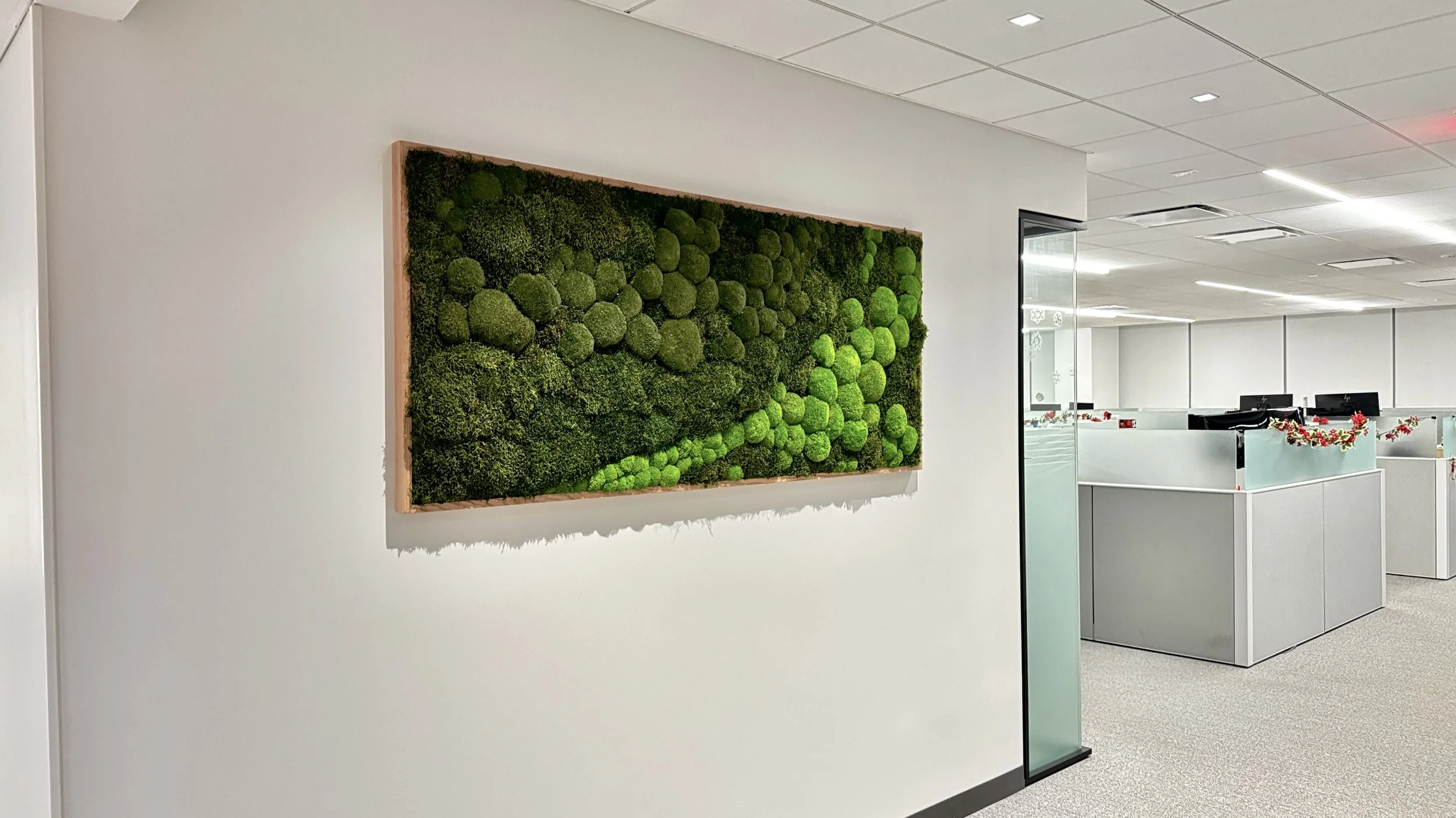 Office interior with a wall decorated with green moss art, partitions with holiday decorations, and computer workstations.