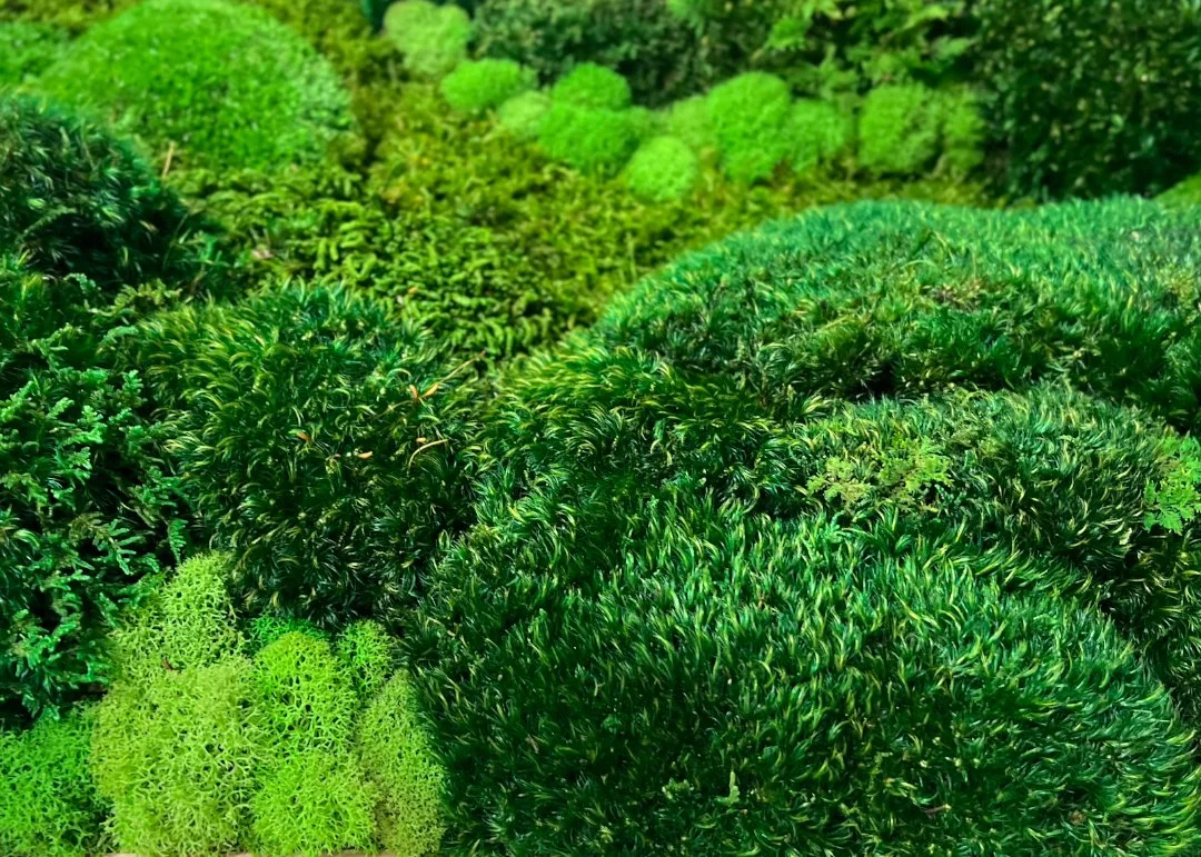 Handmade Moss Artwork in our Brooklyn workshop