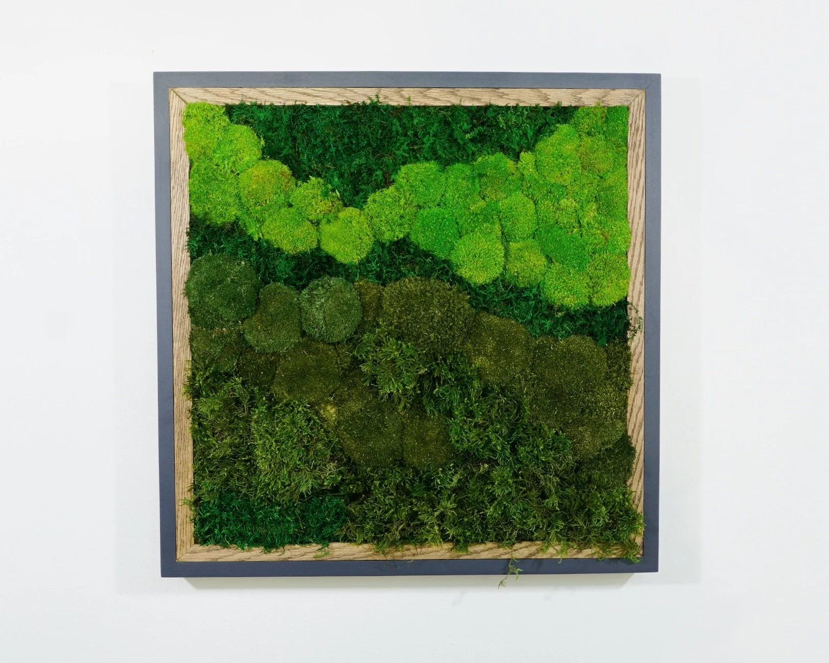 Why Choose Moss Over Real Plants?