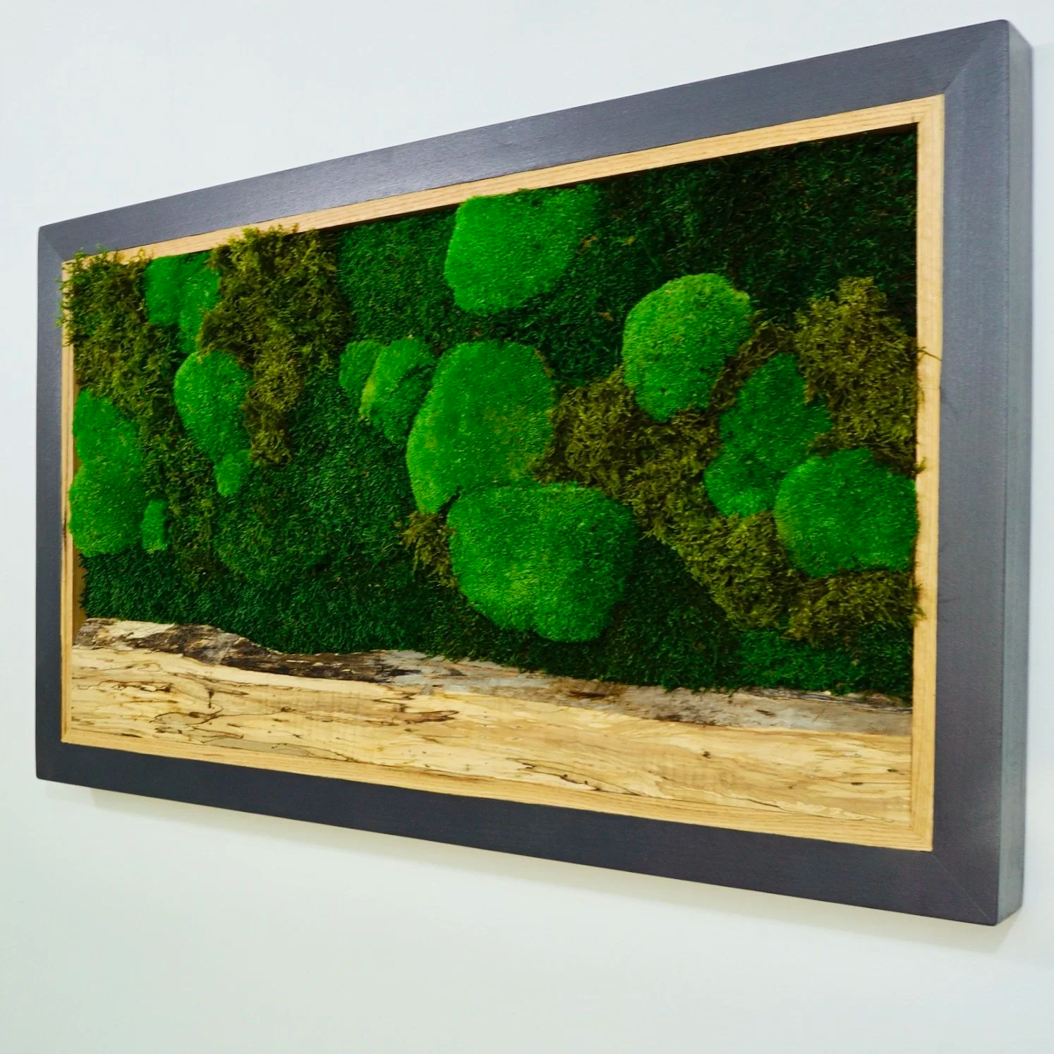 Framed preserved moss wall art mounted on a white wall