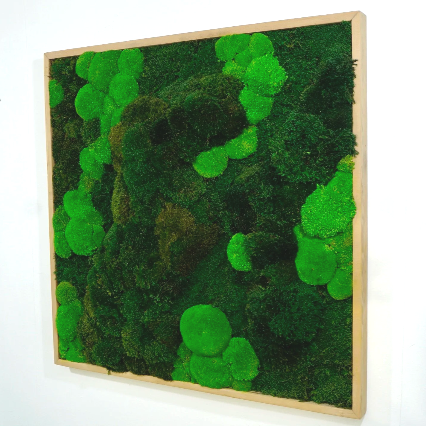 framed preserved moss wall art mounted on a white wall