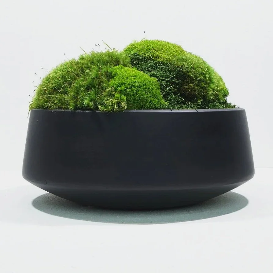 Luxury designer bowls in a matte finish and filled with preserved moss by MossBoss NYC