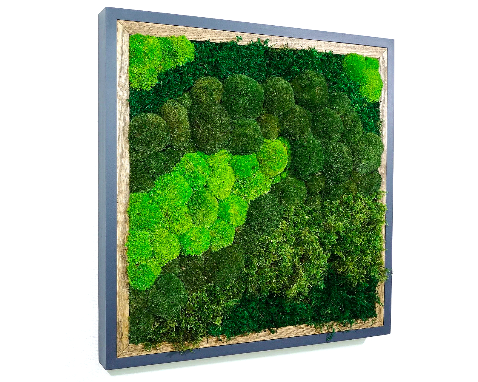 Square framed preserved moss wall art mounted on a white wall.
