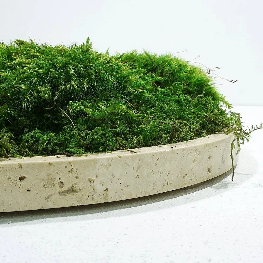 travertine marble platter filled with preserved moss.