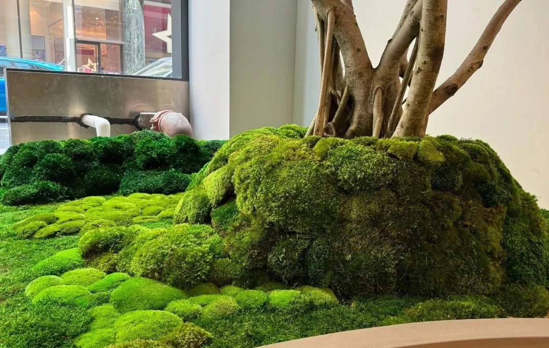 Indoor moss garden with a large moss-covered rock and a tree with exposed roots in the background