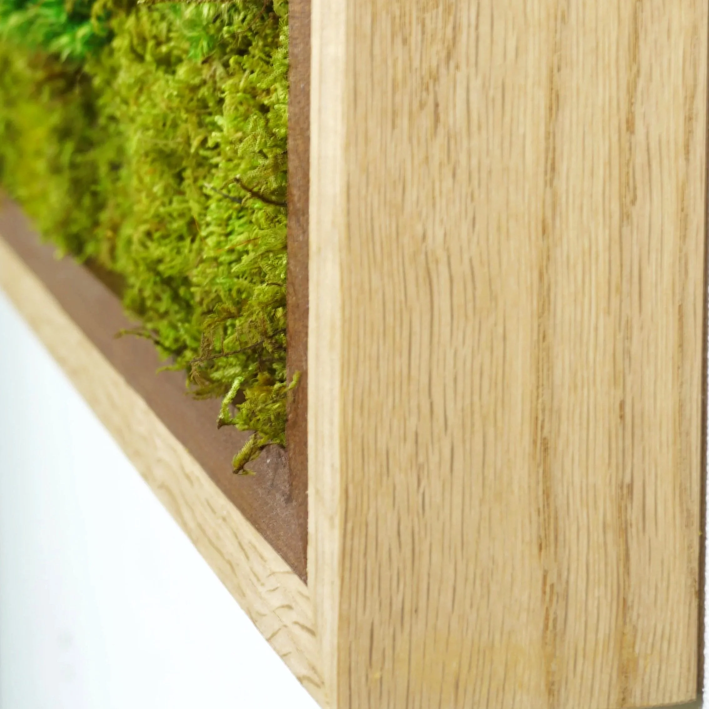 Handcrafted preserved moss frame, oak and cherry lumber frame filled lush moss, by MossBoss NYC