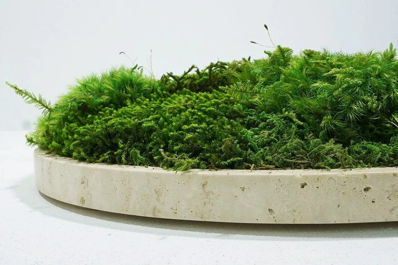 travertine marble platter filled with preserved moss.