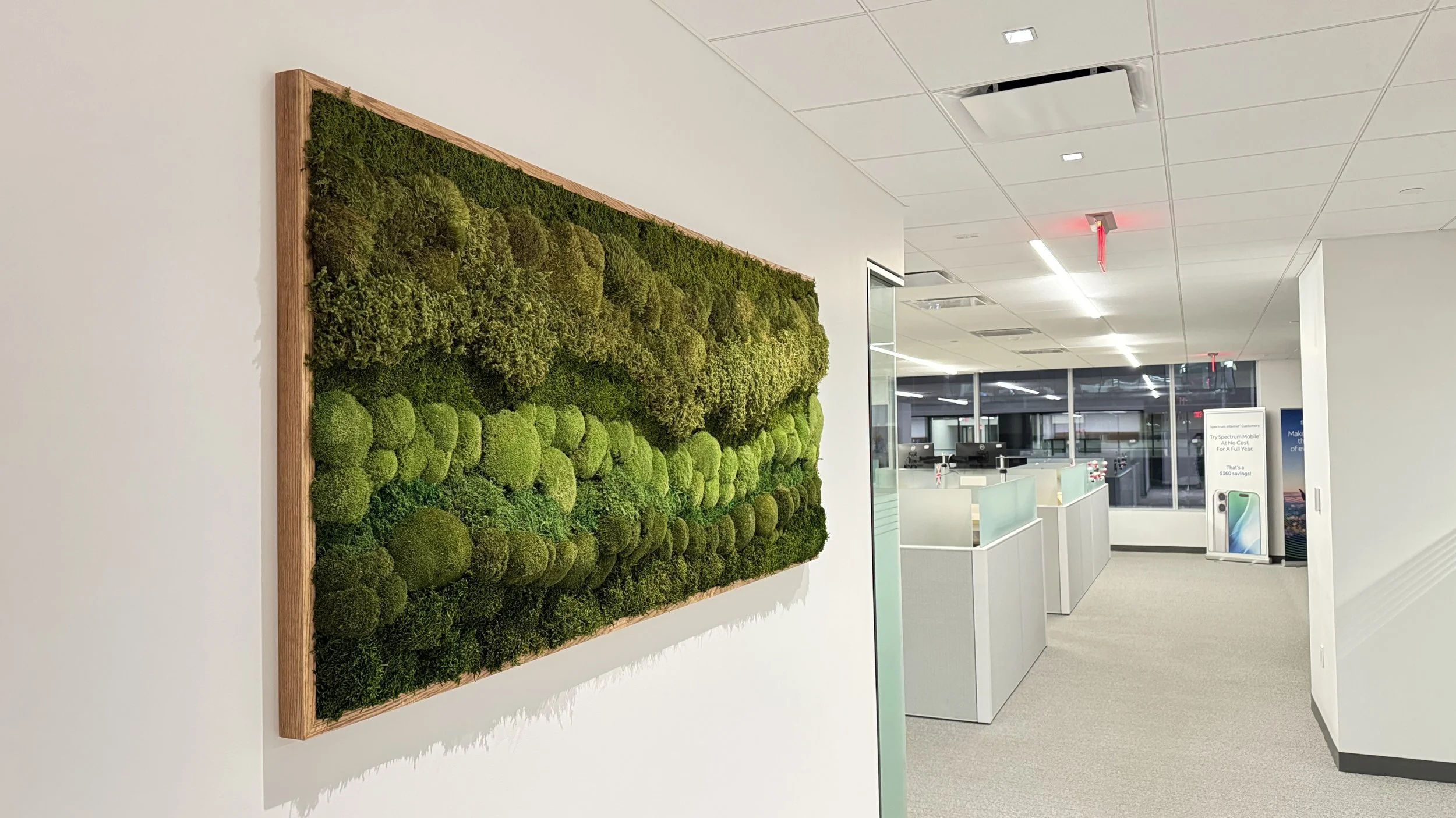 Interior of an office with a green moss wall art on the white wall to the left, glass partitions, and an area with cubicles visible in the background.