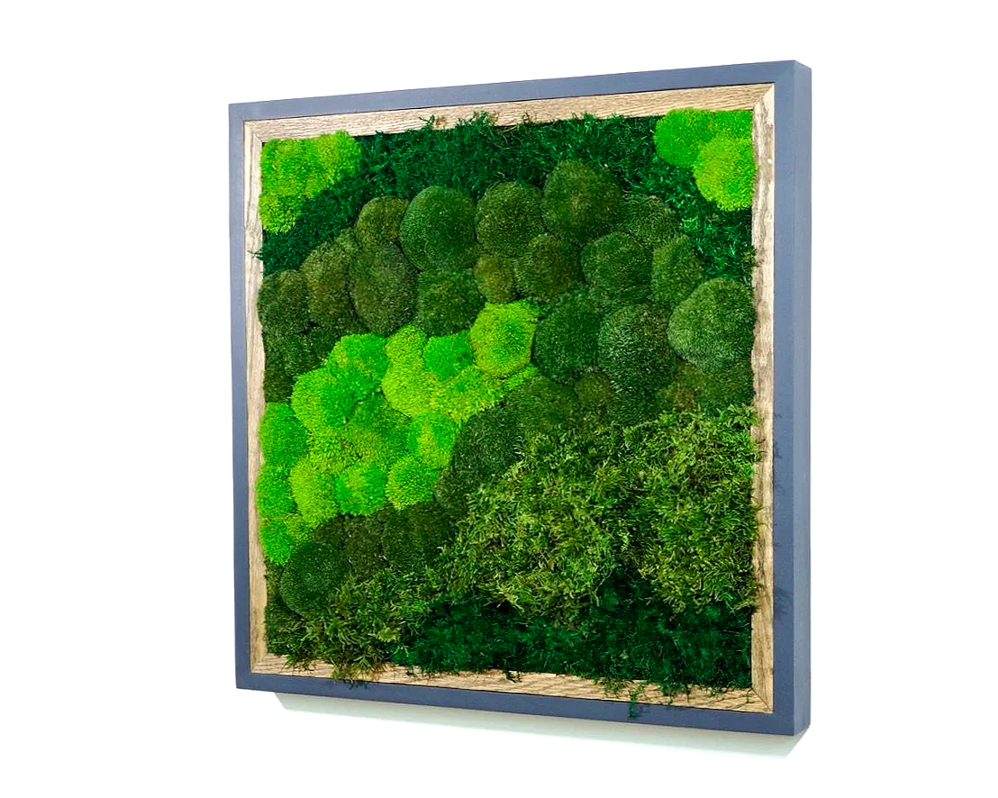 Square framed preserved moss wall art mounted on a white wall.