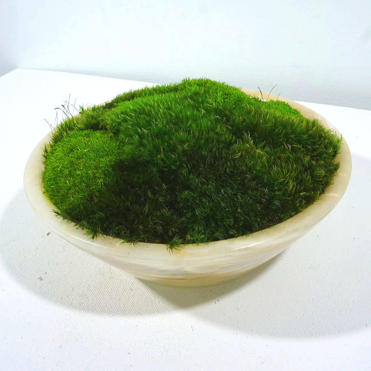 Natural Onyx Bowl _ SM Round