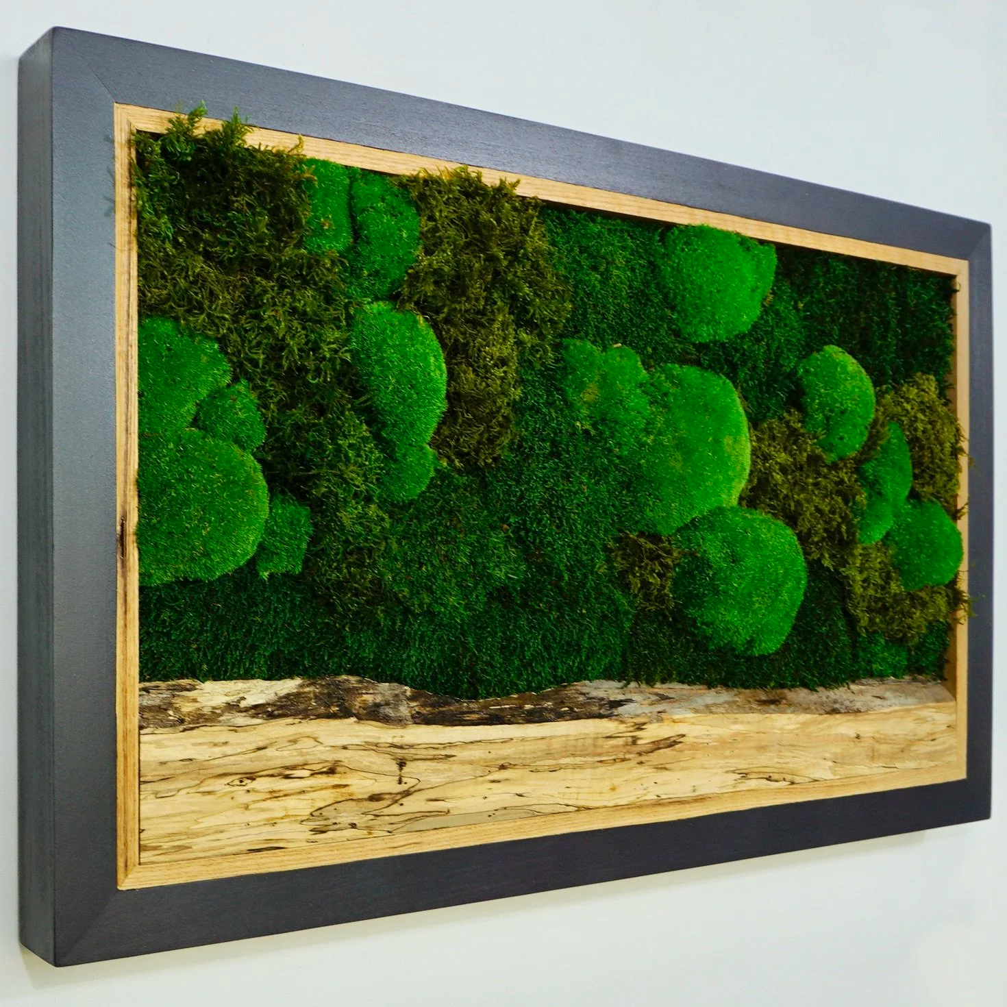 Framed preserved moss wall art mounted on a white wall