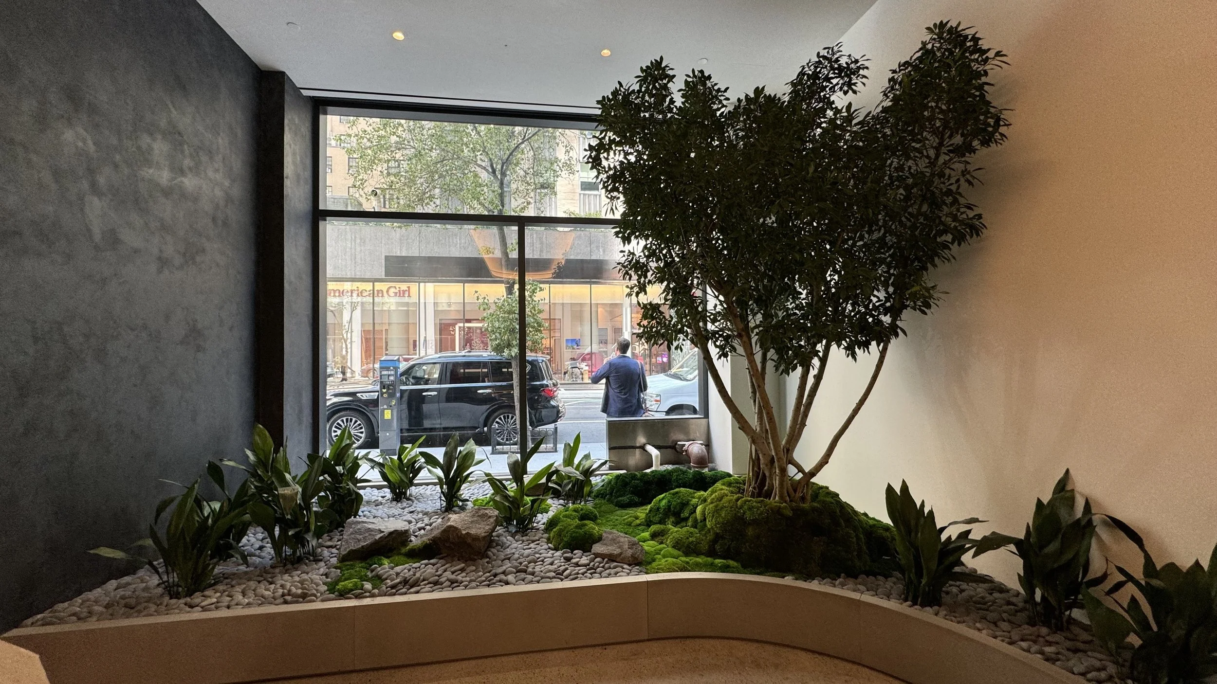 Indoor garden with a large potted tree, green moss, small plants, and white pebbles, next to a large window showing a city street outside.