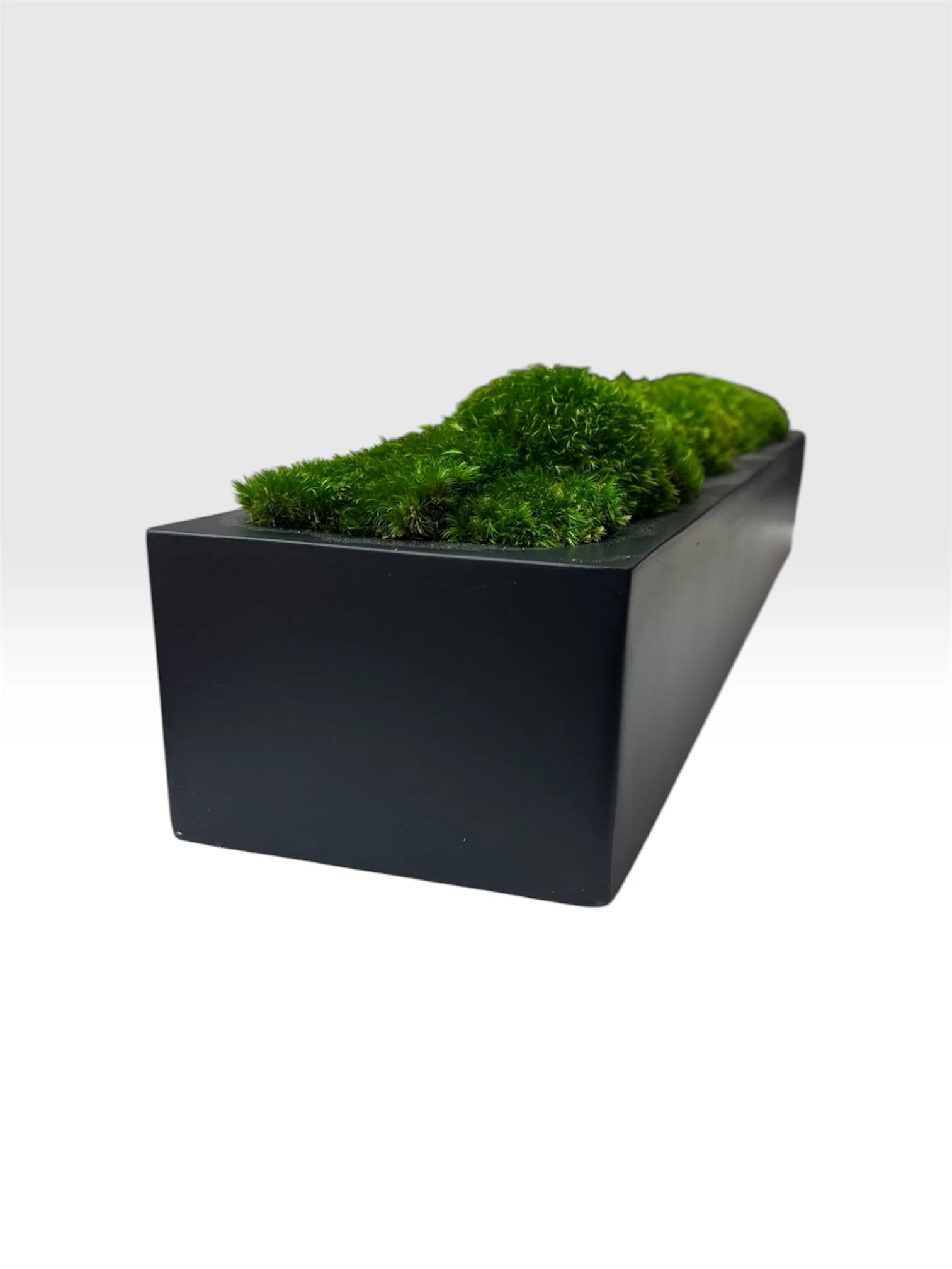 Black Rectangular Planter- Large