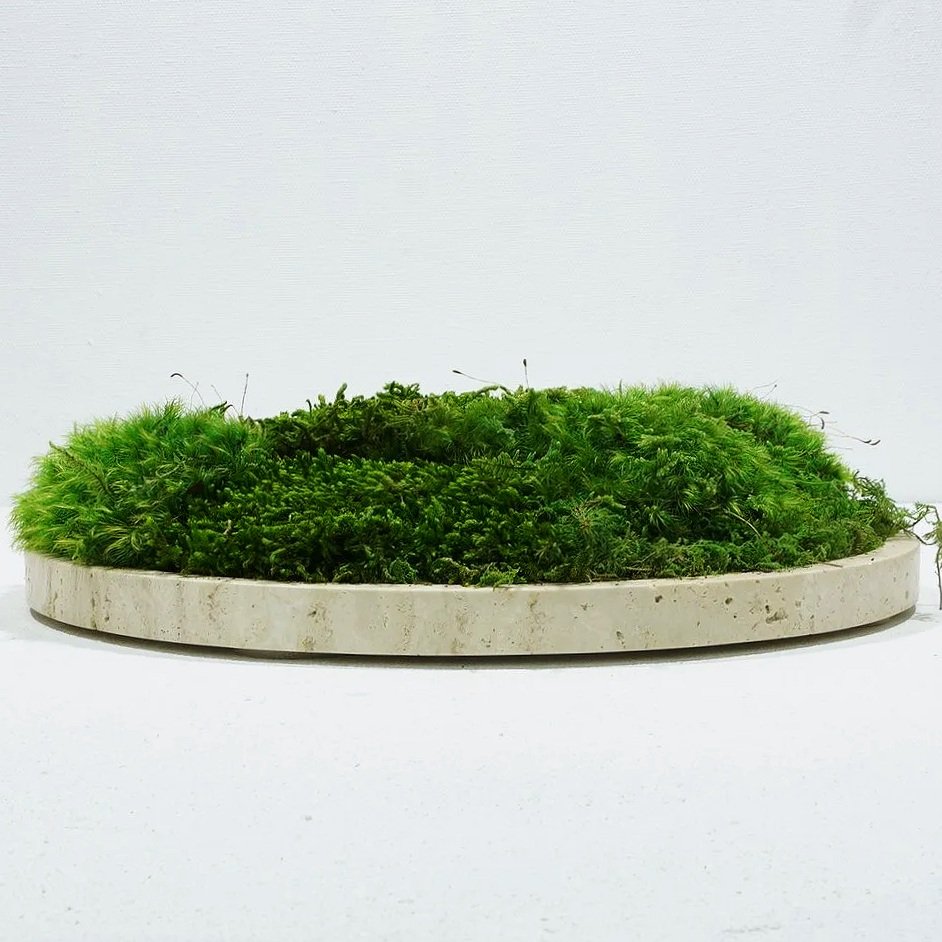 Travertine Marble Moss Platter