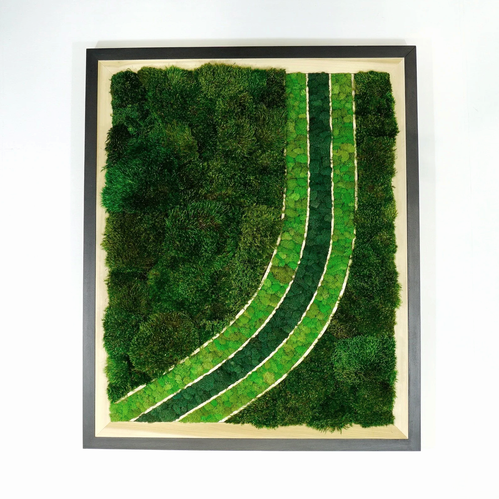 black frame moss art w/ poplar inlay, three stripes filled with deerfoot moss in a curve.