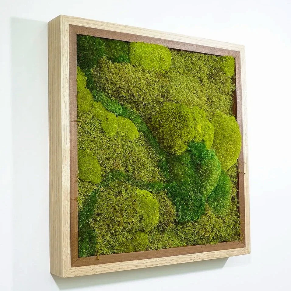 Handcrafted preserved moss frame, oak and cherry lumber frame filled lush moss, by MossBoss NYC